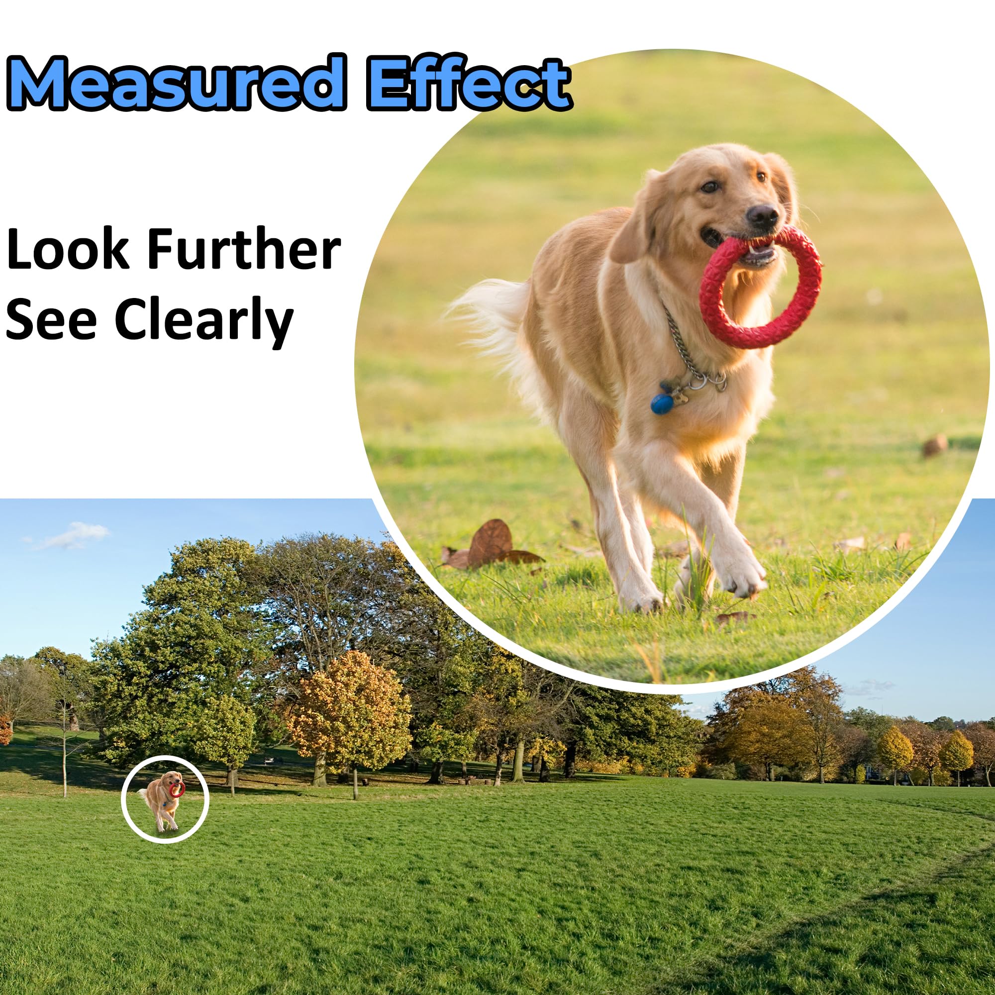 Tydeux 10X25 Monocular Telescope   Outdoor Mini Pocket Monocular Compact Monoculars For Bird Watching Hunting Camping Hiking Tra