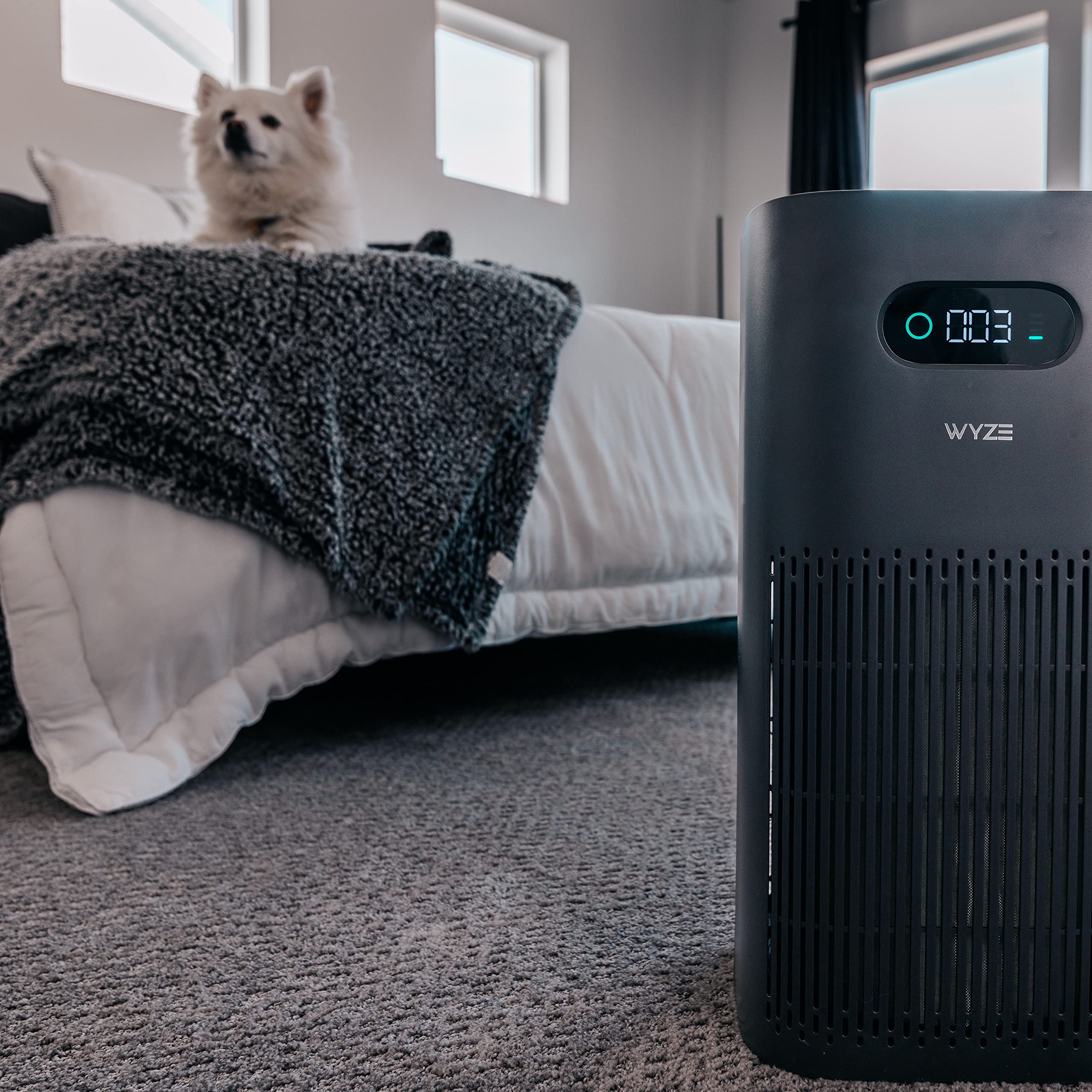 Wyze Air Purifier With Allergen Filter(Standard), For Home Large Room, Hepa 13, 21Db Quiet Sleep Mode, 550 Sq Ft, Remove 99.97%