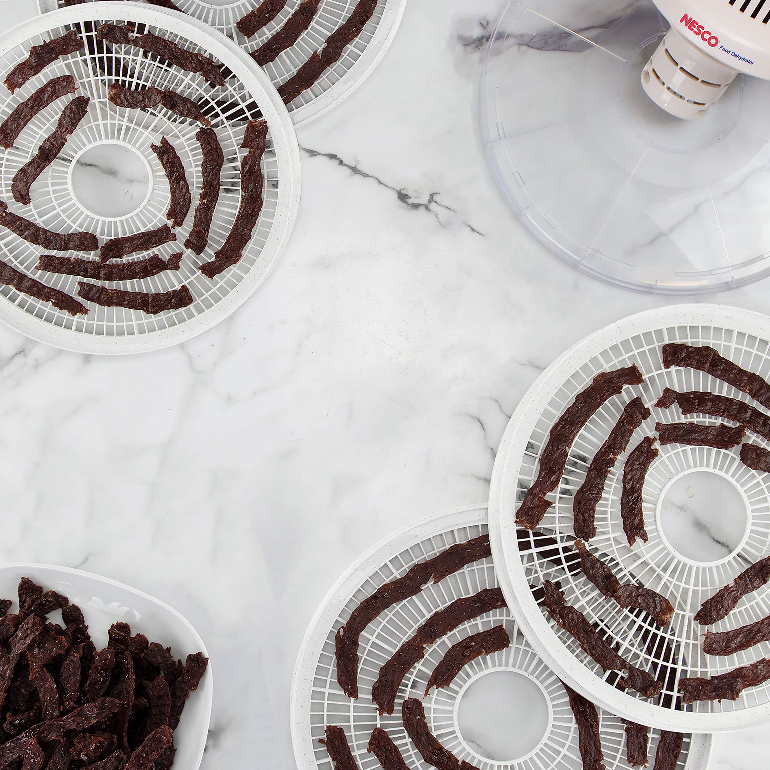 Nesco 400 Watt Dehydrator