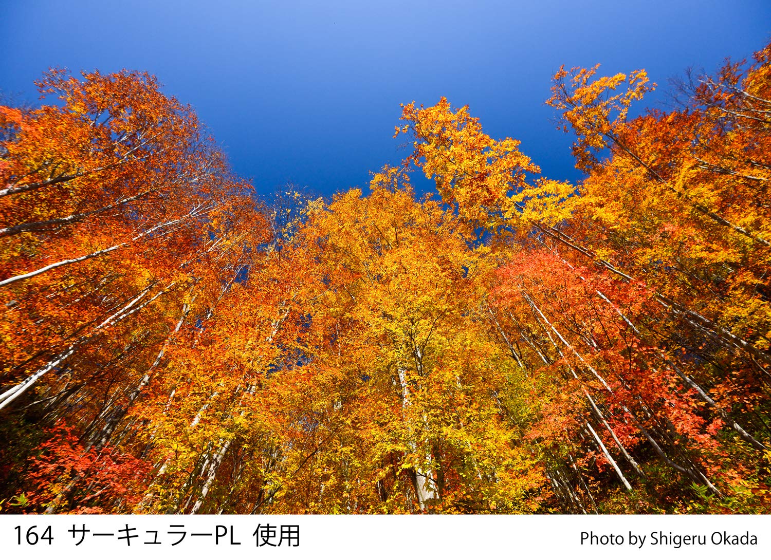 Cokin Square Circular Polarizer (Z164) - 1 2/3-Stop For L (Z) Series Holder - 100Mm X 100Mm