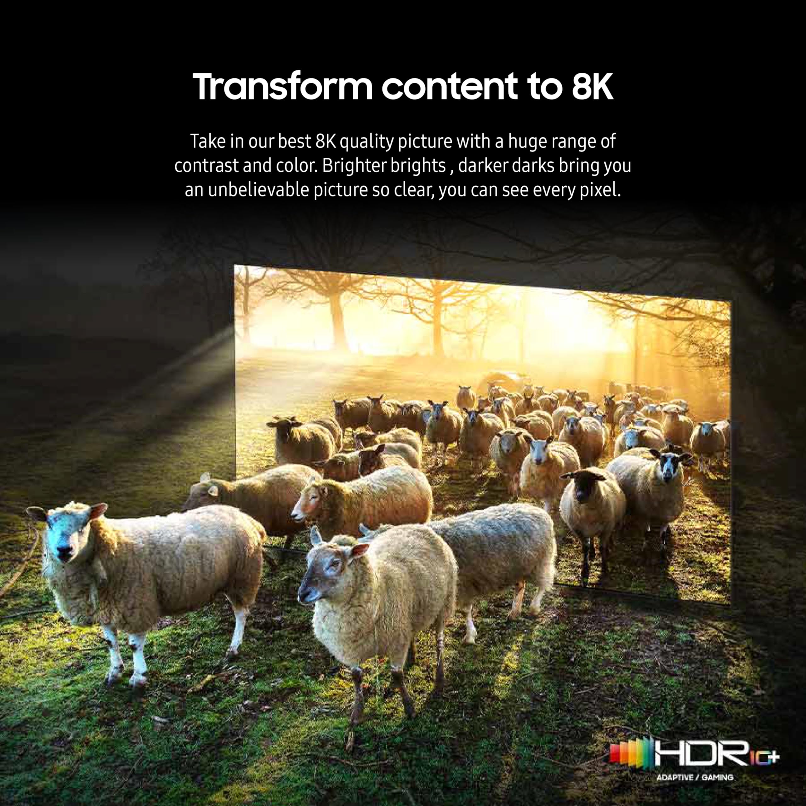 Samsung Qn75Qn900Dfxza 75 Inch Class Qn900D Neo Qled 8K Smart Tv With An Austere 3S-4Khd2-2.5M Iii Series 4K Hdmi 2.5M Cable (20