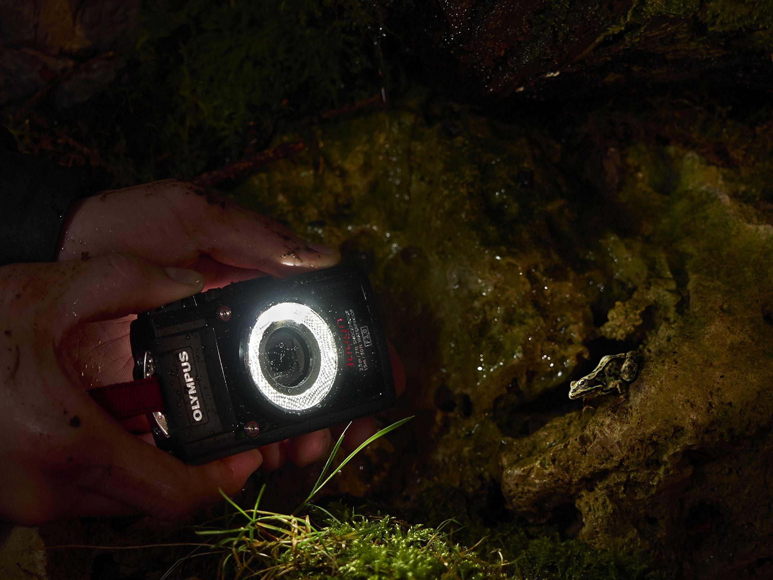 Olympus Led Light Guide Lg 1