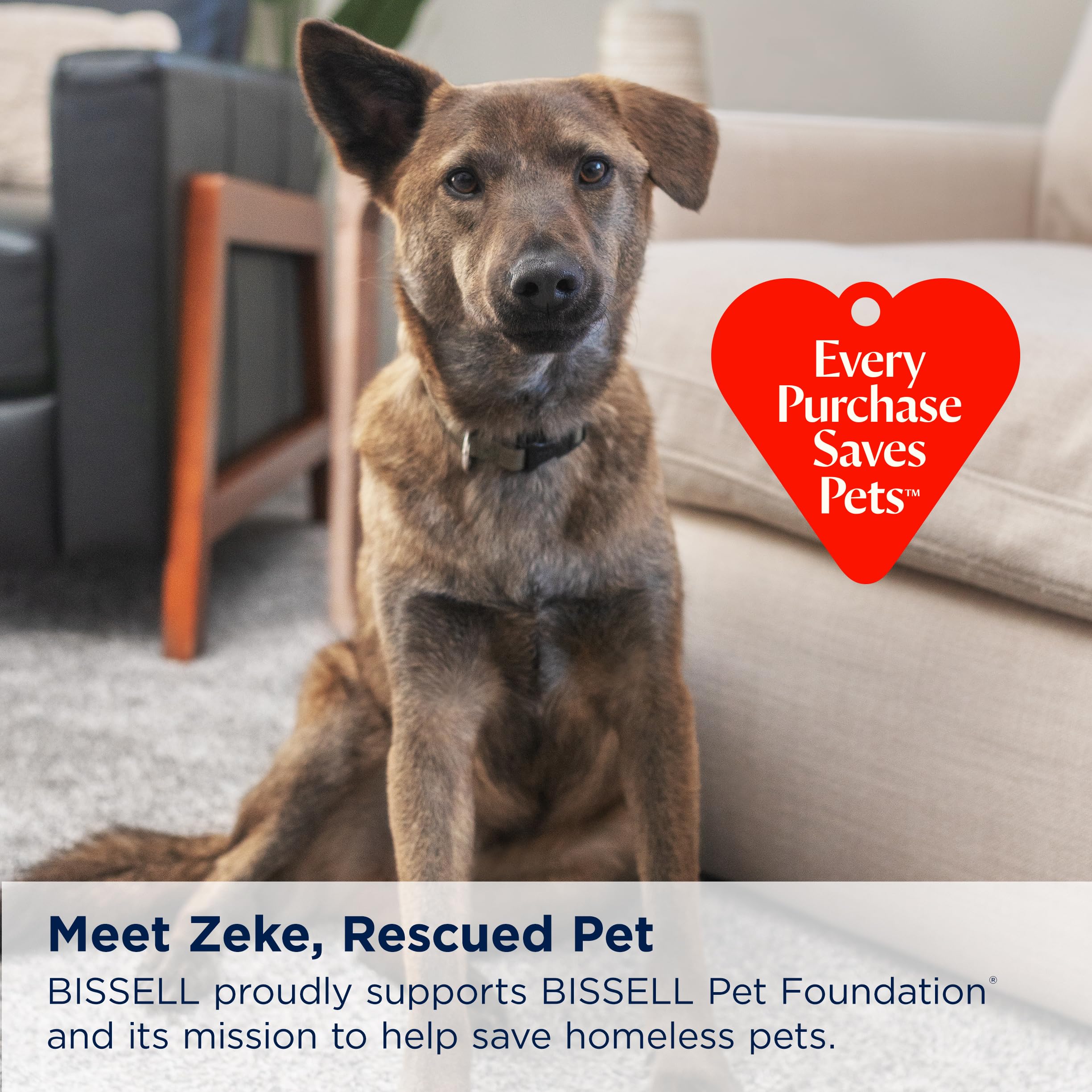 Bissell Steam Shot Omni Handheld Steam Cleaner, New 2024 Model