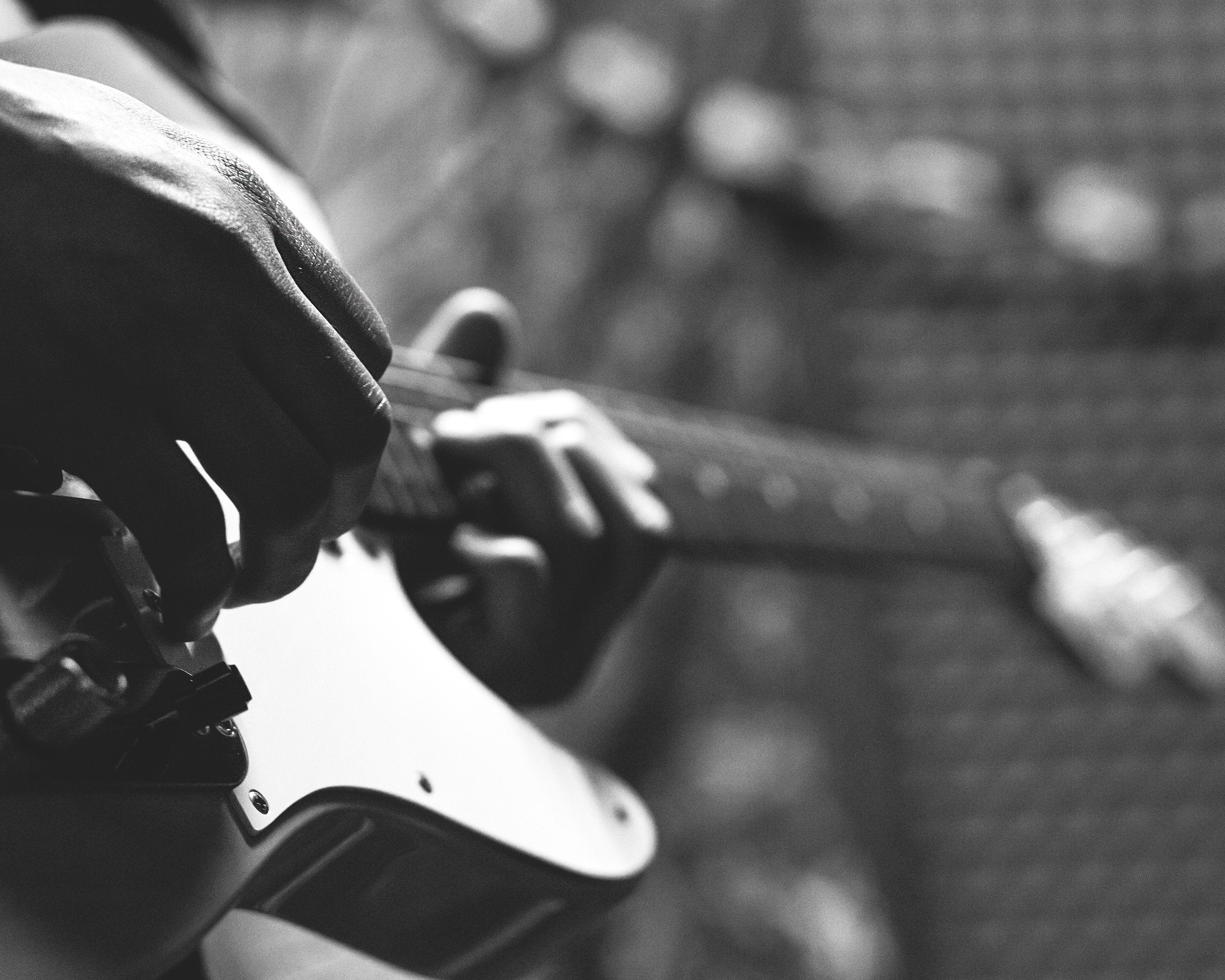 Dandrea Pro-354 Pro Plec, Small Round, Teardrop 12-Piece Shell, 1.5Mm