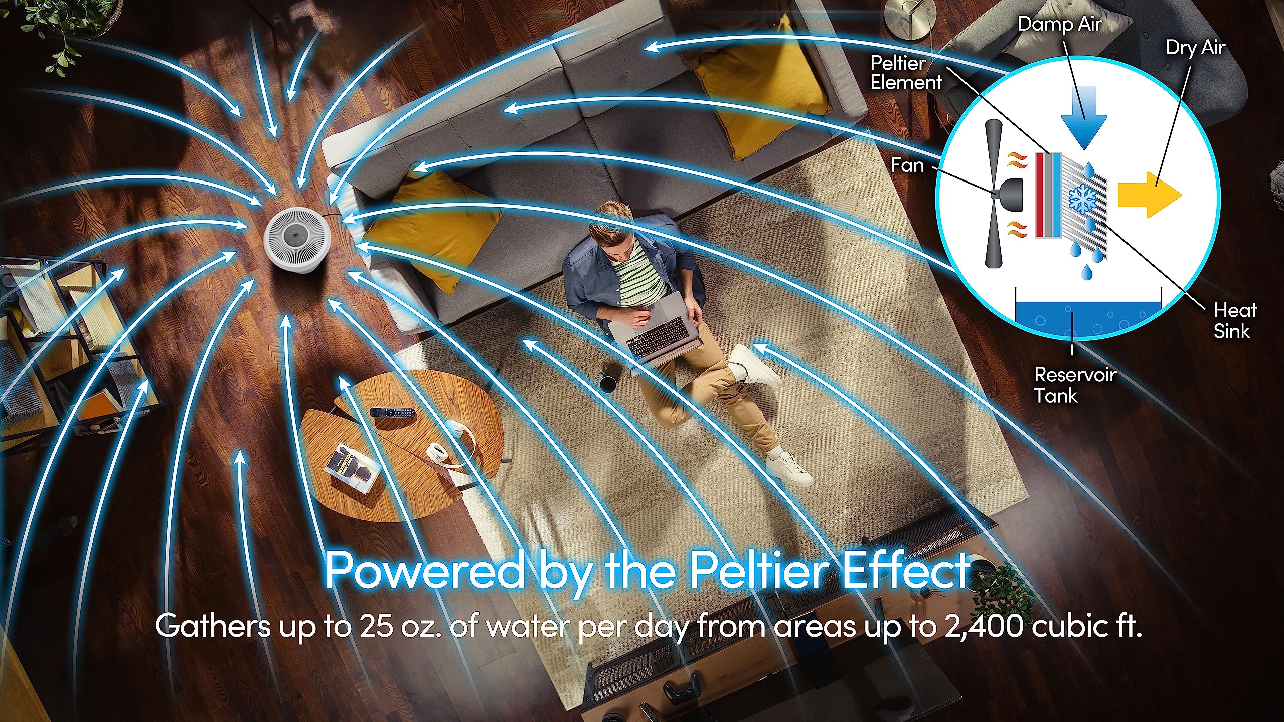 Compact And Powerful Eva Dry Edv 2400 Dehumidifier | Eliminate Moisture | Energy Efficient | Whisper Quiet | Portable | Ideal Fo