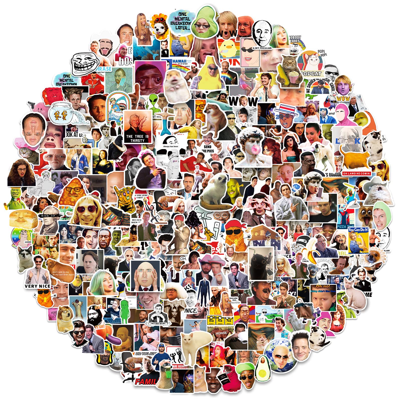 Meme Stickers 300 Pcs Funny Stickers,Funny Stickers For Adults,Vinyl Stickers Waterproof For Adults,Laptop Sticker Pack,Bumper,W