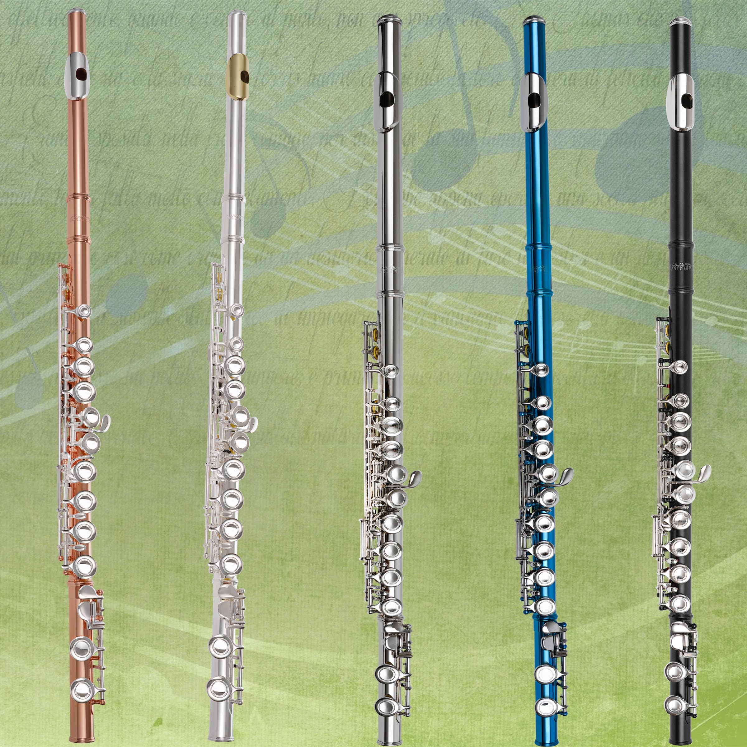 Kayata Flutes, Closed Hole C 16 Keys Flute Instrument, Student Flute For Beginner Advanced Player With Flute Cleaning Kit, Carry