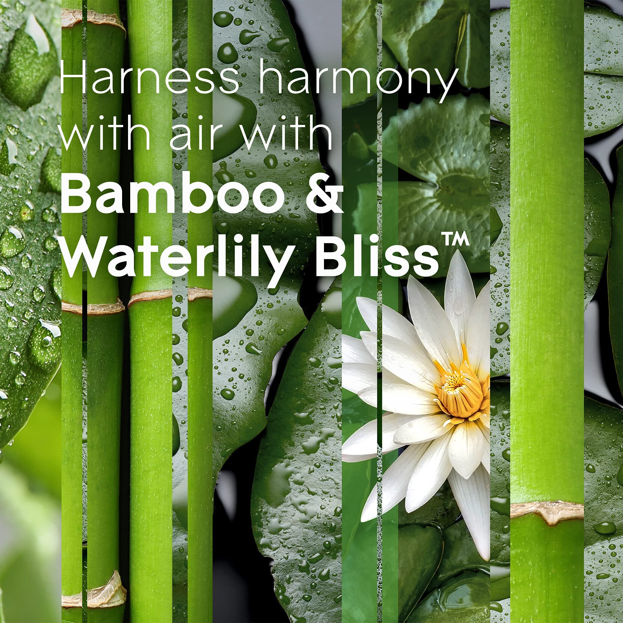 Glade Plugins Refills Air Freshener, Scented And Essential Oils For Home And Bathroom, Bamboo & Bliss, 3.35 Fl Oz, 5 Count