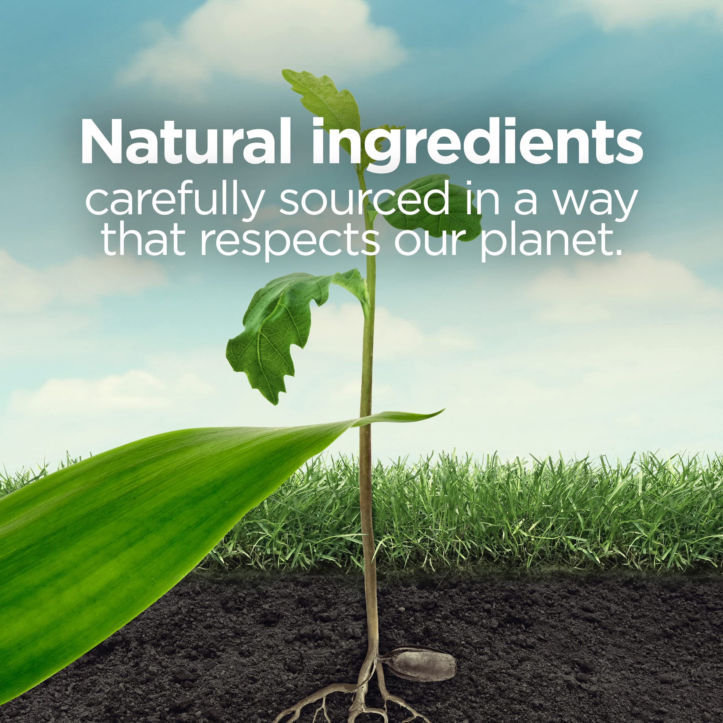 Botanica By Air Wick Plug In Scented Oil, 10 Refills, Himalayan Magnolia And Vanilla, Air Freshener, Eco Friendly, Essential Oil