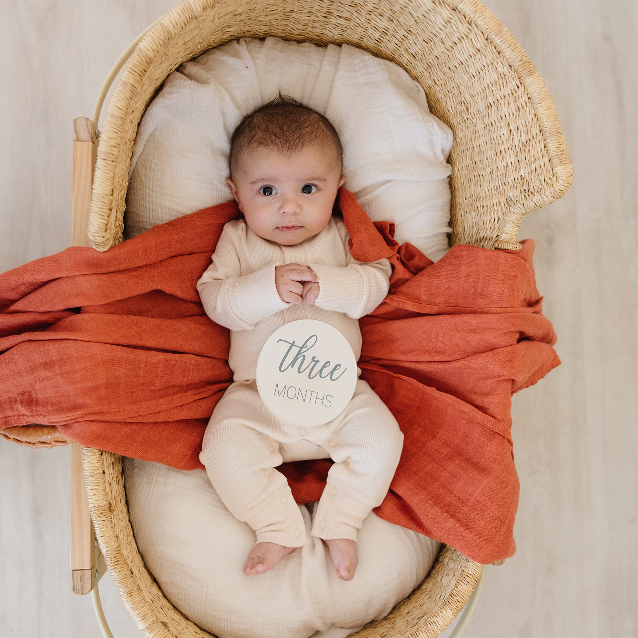 Natural Baby Milestone Discs   White Stain Wood Milestone Disc Set With Bag And Hello World Announcement Card   13 Wooden Milest