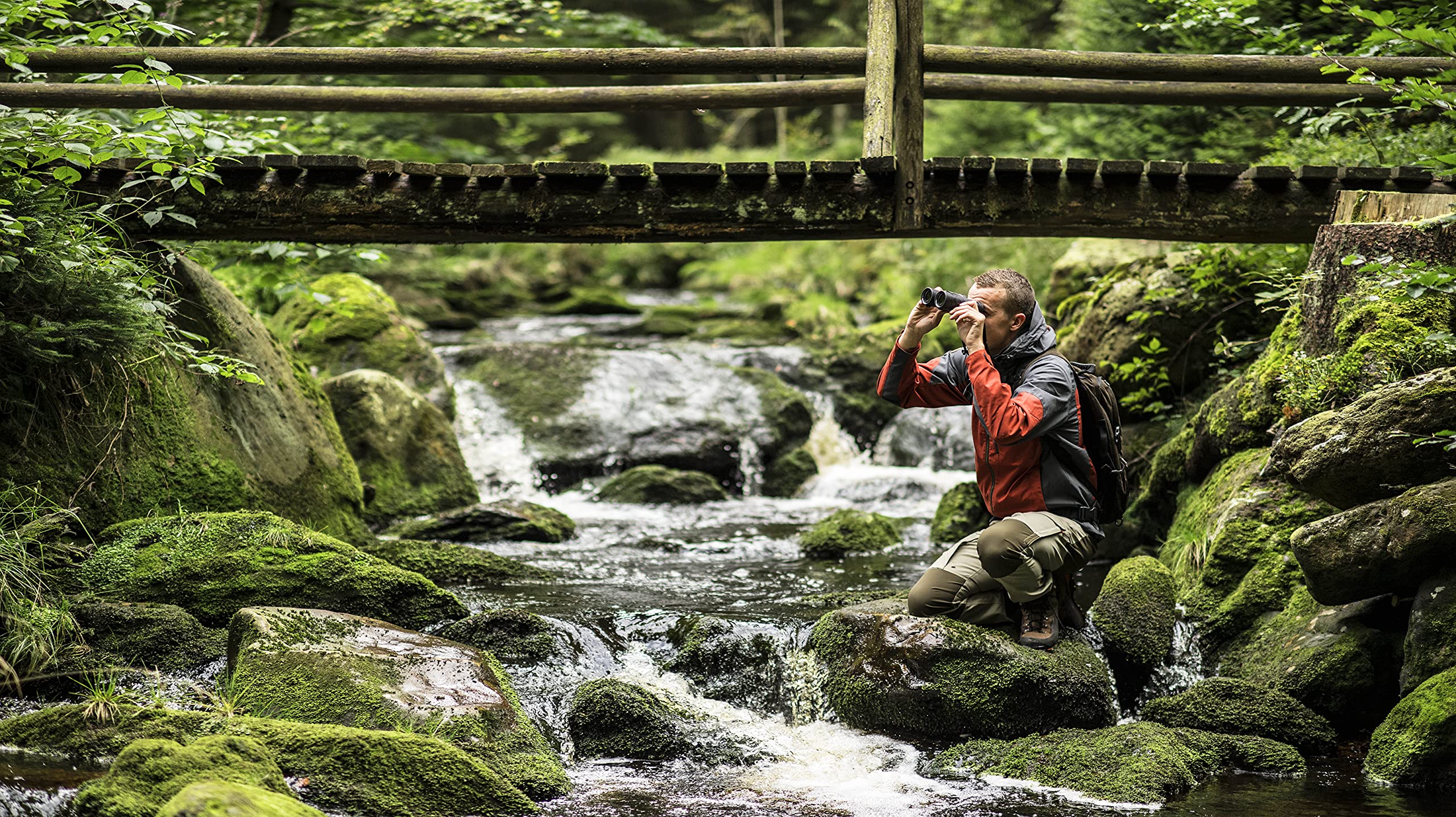 Steiner Safari Ultrasharp Binoculars Compact Lightweight Performance Outdoor Optics, 10X42