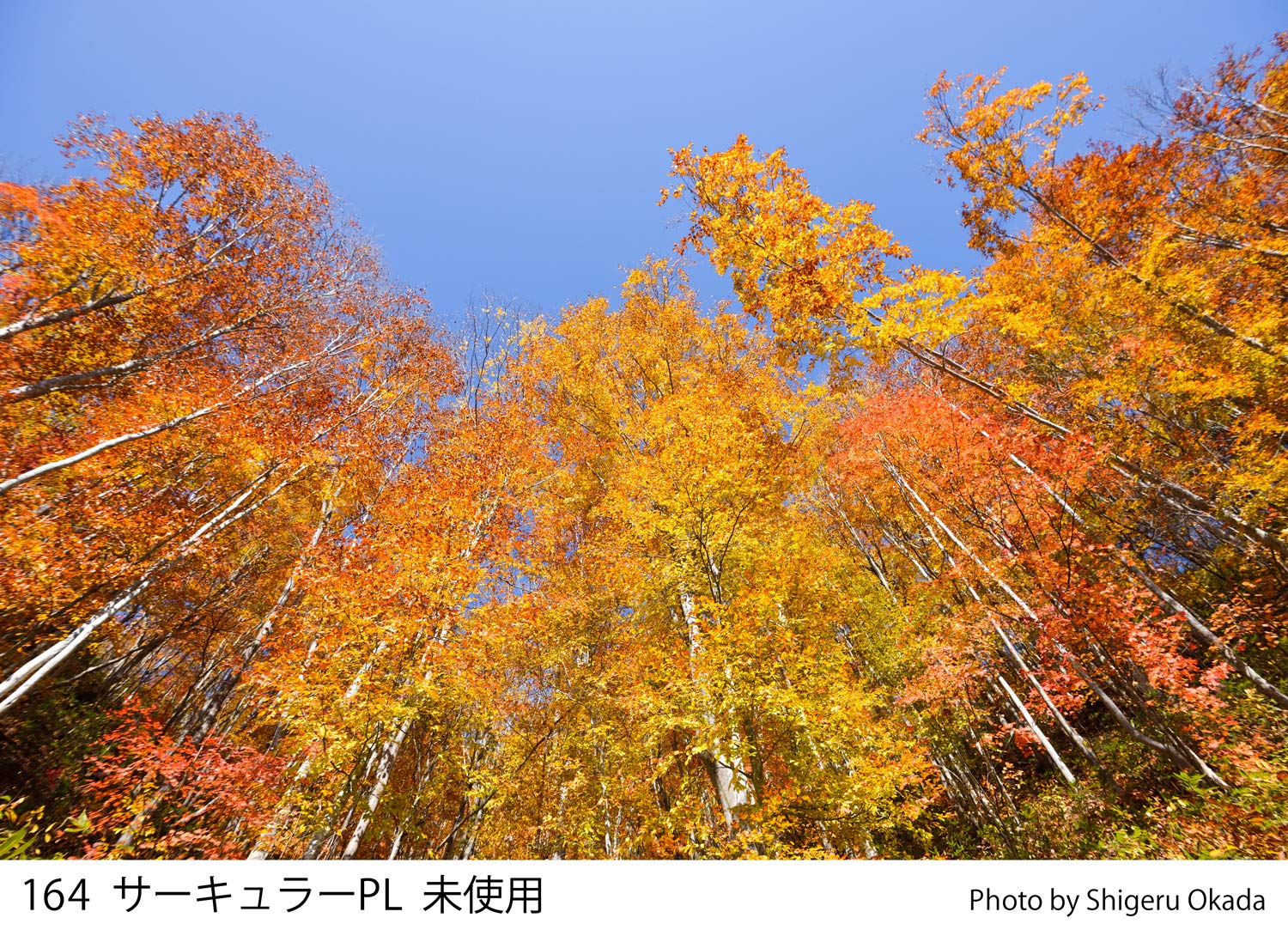 Cokin Square Circular Polarizer (Z164) - 1 2/3-Stop For L (Z) Series Holder - 100Mm X 100Mm