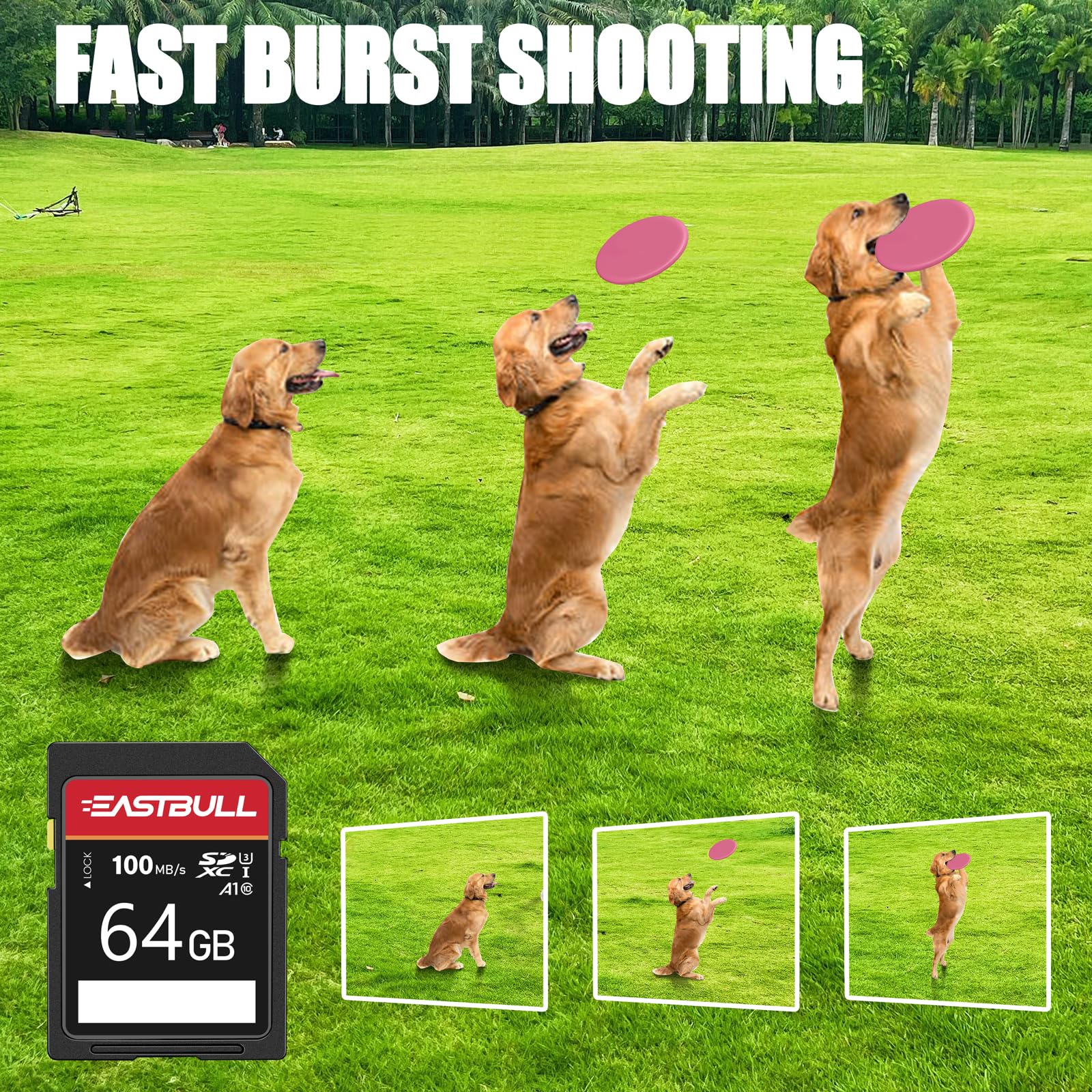 5 Pack Of Sd Card 64Gb Eastbull Class 10 Sd Card U1 V30 High Speed 100Mb/S Read Sdxc Memory Card 5 Pack For Camera, Full Hd Vide