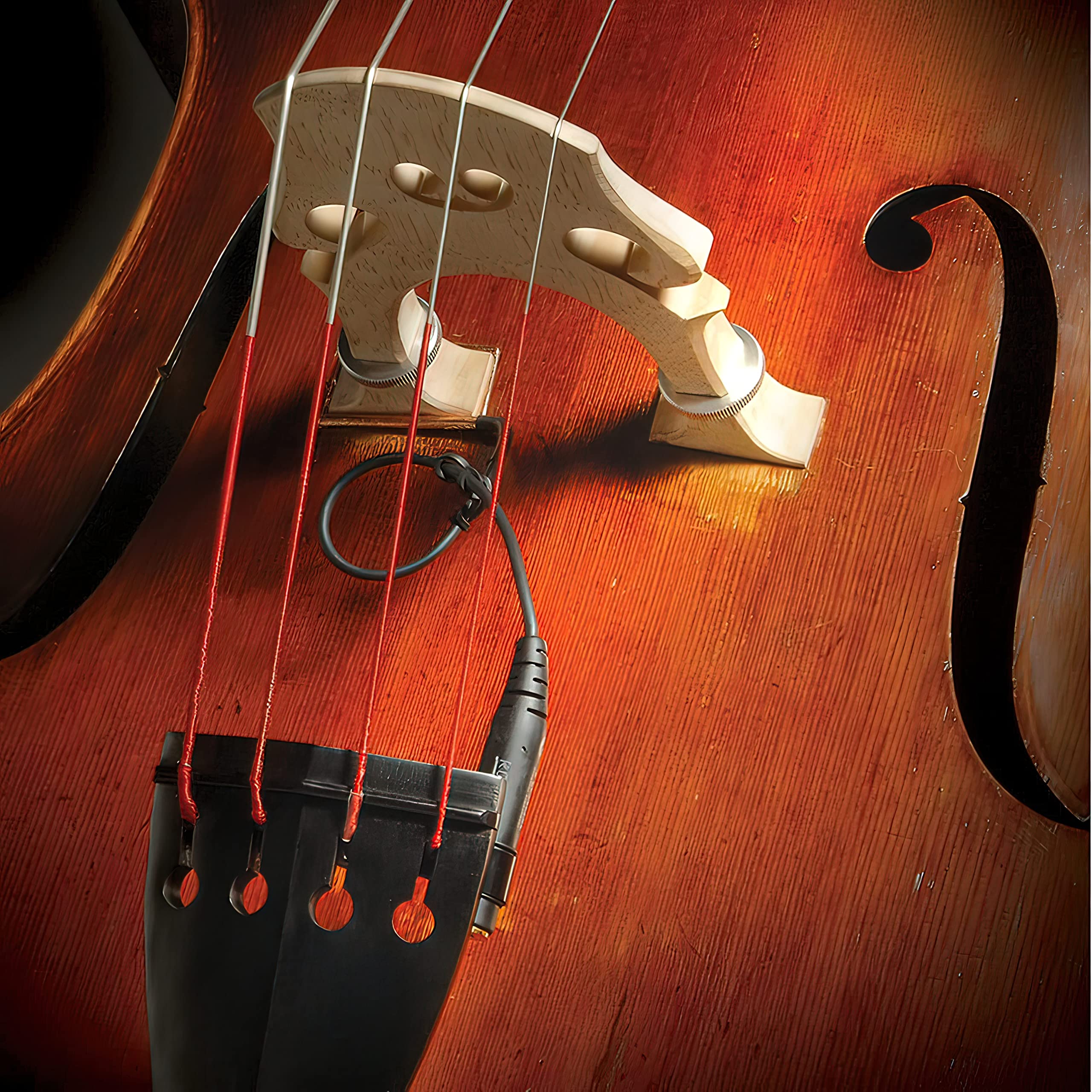 The Realist Rlstll1   Lifeline Piezo Pickup For Double Bass   Focused Bass Sound   Punch Without Loss Of Fidelity   Easy To Inst