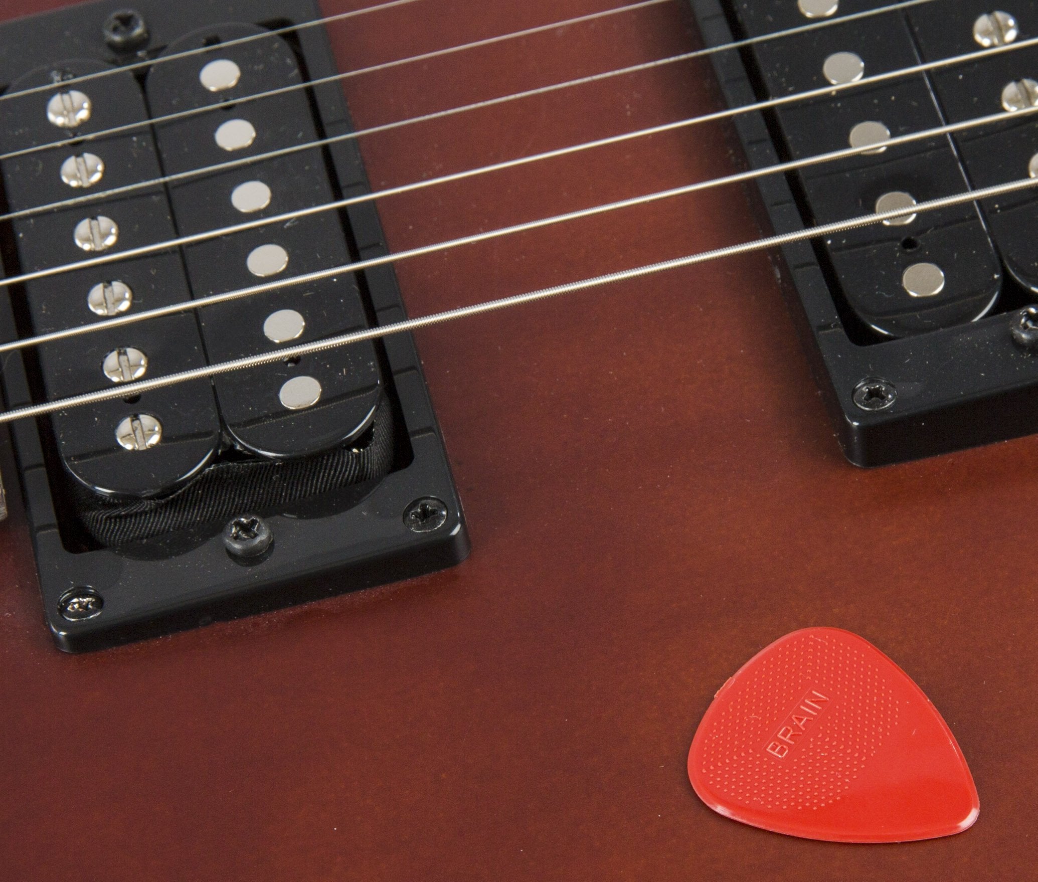 D'Andrea Snarling Dog Brain Nylon Guitar Picks 12 Pack With Tin Box (Red, 0.73Mm)