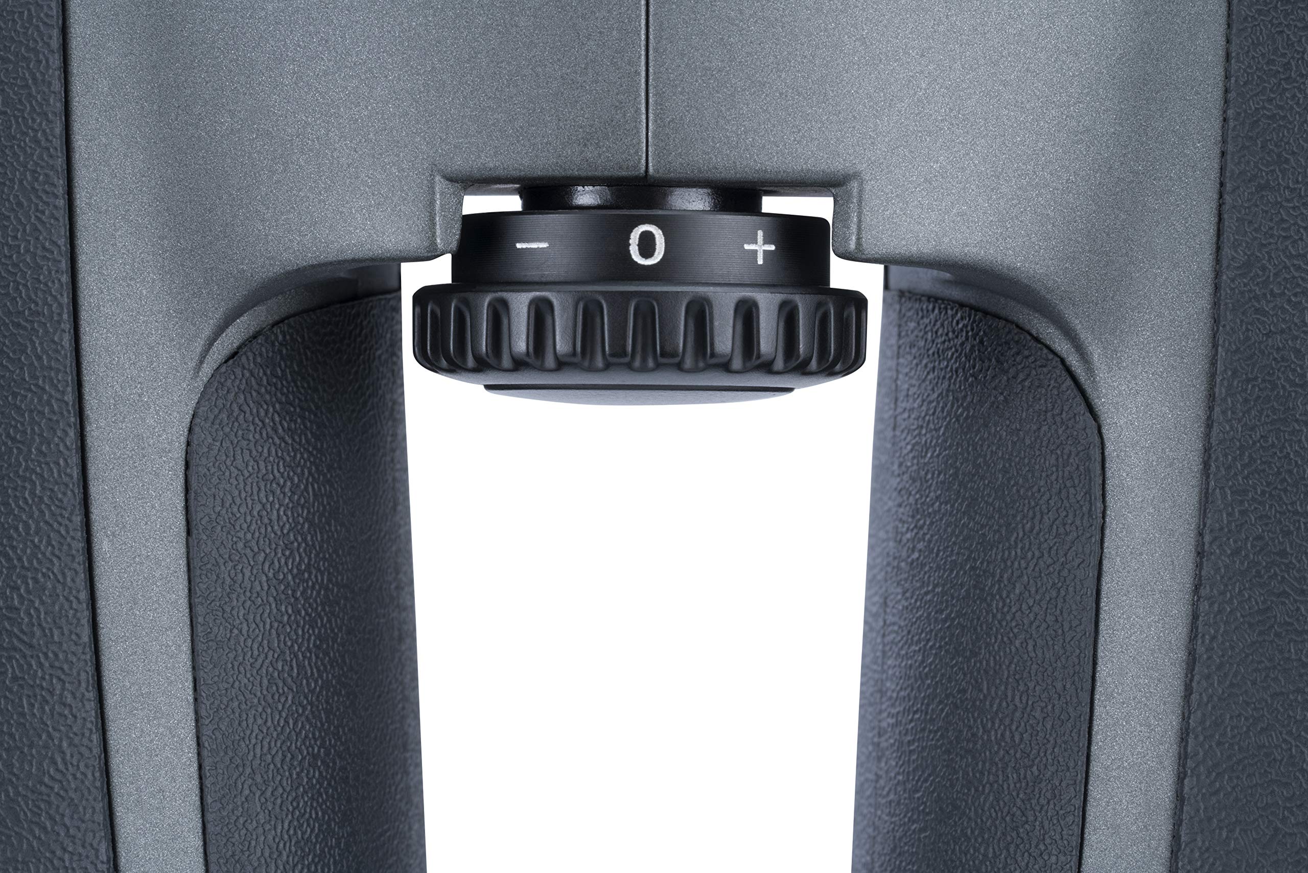 Vanguard Endeavor Ed Iv 8X42 Binocular, Premium Hoya Ed Glass, Sk 15 Prisms, Waterproof/Fogproof