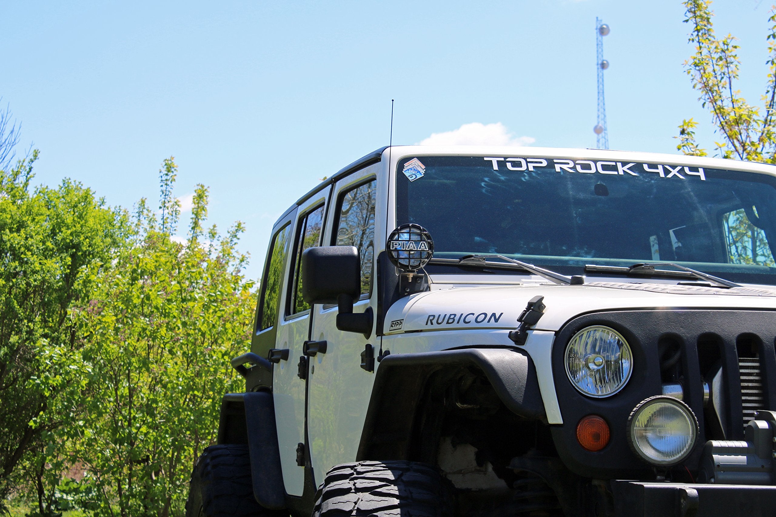 Antennamastsrus   31 Inch Black Antenna Fits Ford F 150, F 250, F 350, F 450, F 550, F 600, F 650 | Dodge Ram 1500, 2500, 3500