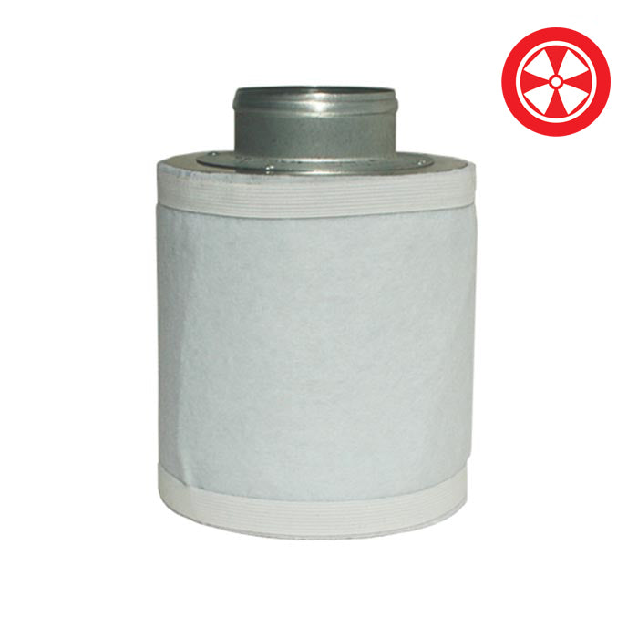 4'' X 10'' Standard Carbon Filter 100/250