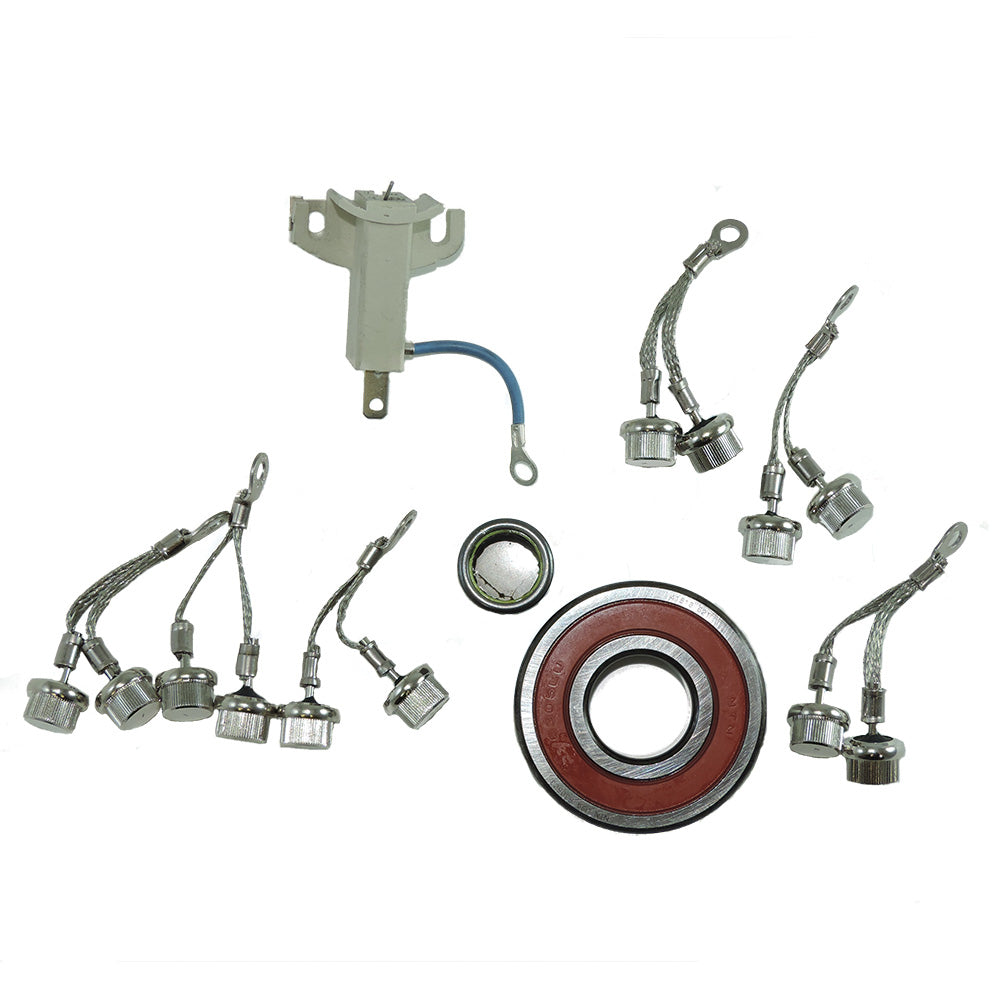 Balmar Offshore Repair Kit 94 Series 12/24V Includes Bearings, Brushes, Positive/Negative Diode,WBAUVB0B5ZY9NM4