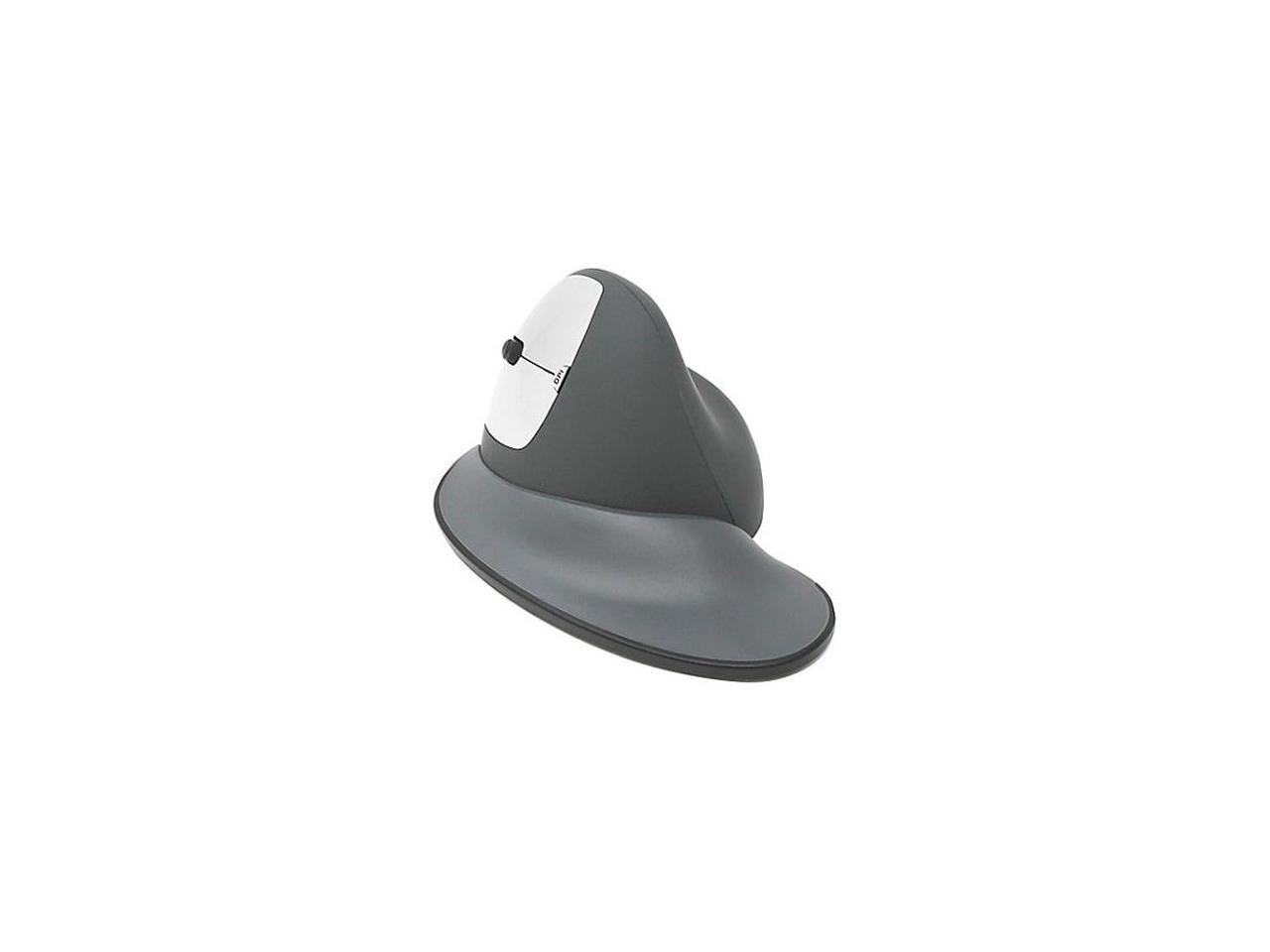 Ch Goldtkov Gsv Lmw R