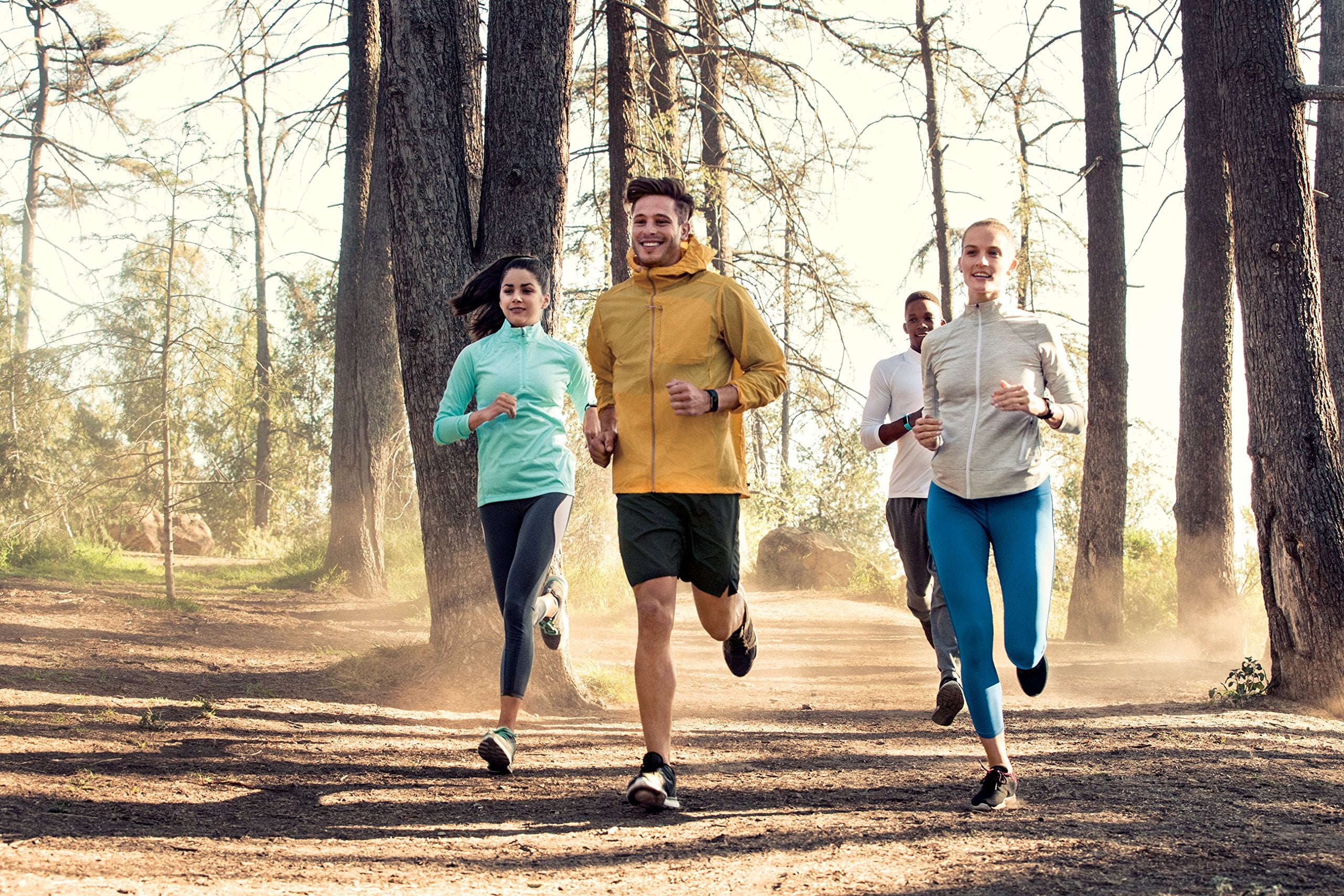 Fitbit Charge 2 Heart Rate + Fitness Wristband, Black, Large (Us Version), 1 Count