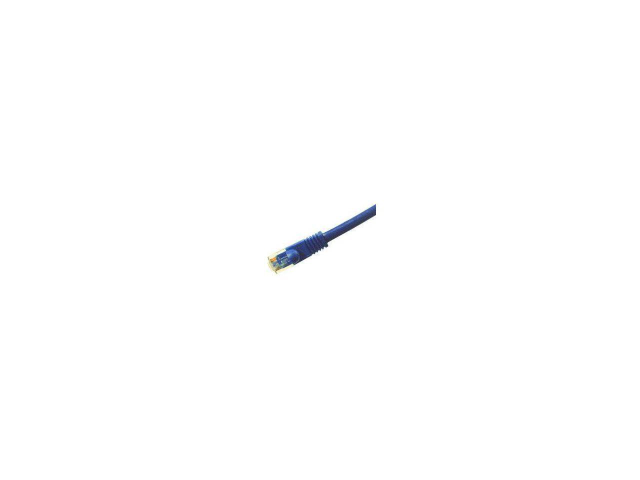 Sp Nlp Ccat6A 100Blu R