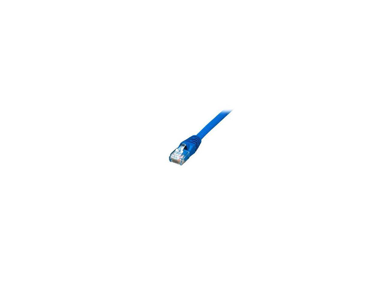 Sp Nlp Ccat6A 50Blu R