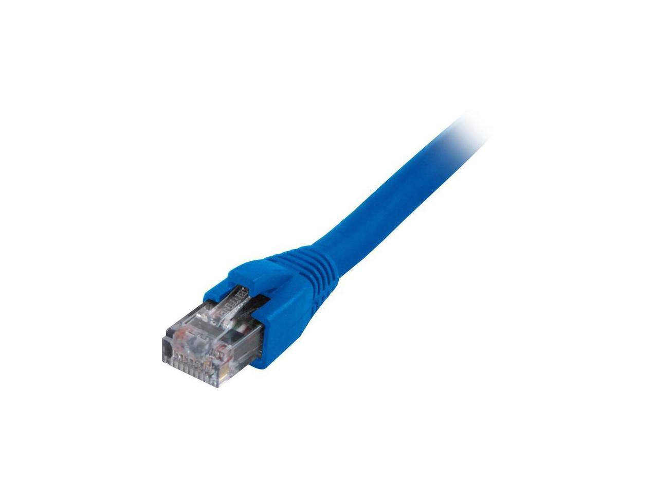 Sp Nlp Ccat6A 100Blu R