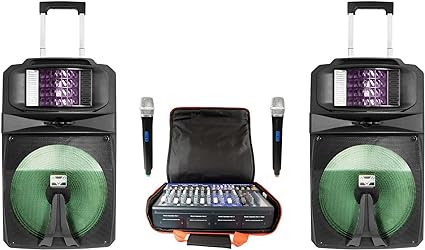 2000W PA system with two digital wireless vocal microphones, eight channel mixer with DSP vocal effect and two 15inch powered s