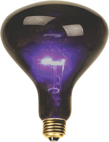 Mushroom Shaped Purple Incandescent Light For Standard Us Lamp Socket 100 Watts