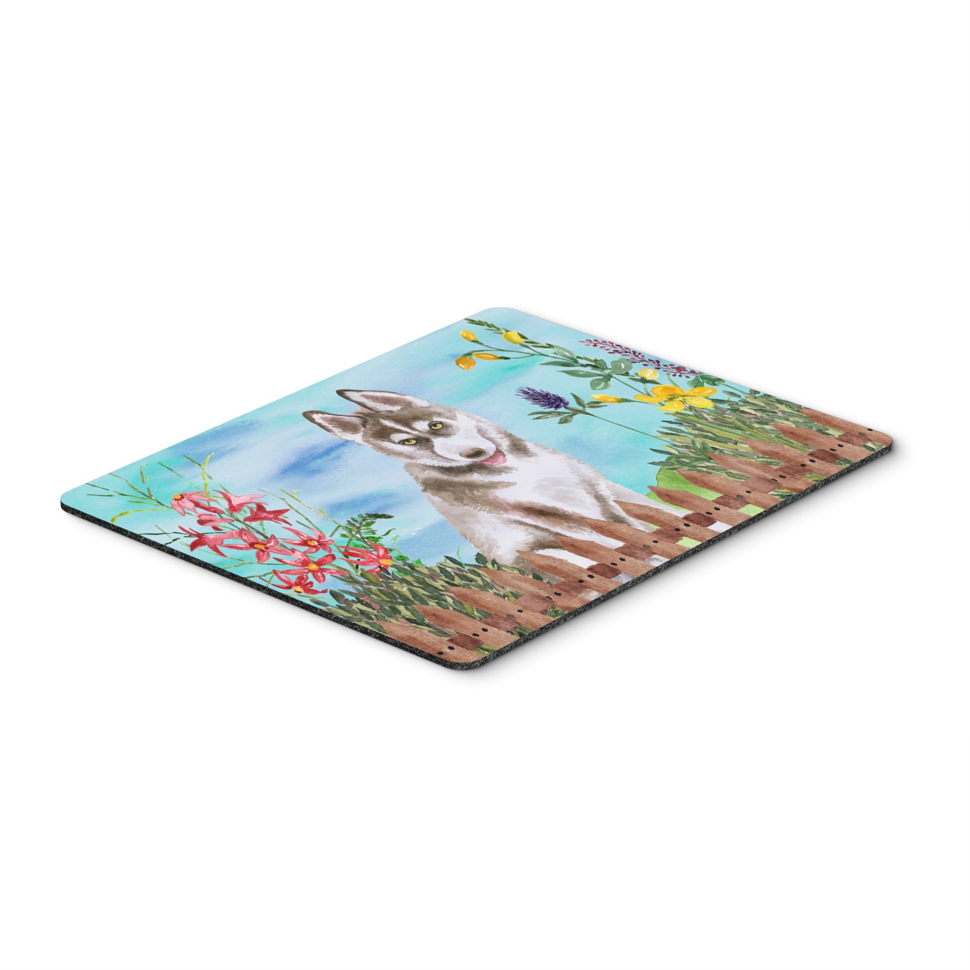  inchCarolines Treasures Siberian Husky Grey Spring Mouse Pad, Hot Pad or Trivet, 7.75 inch inch x 9.25 inch inch, Multicolor (CK1258MP) inch