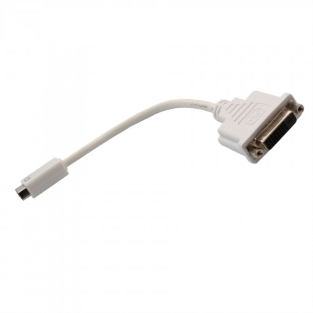 Mini DVI to DVI (24+5 pin) Adapter, White Color, 8 inch endtoend