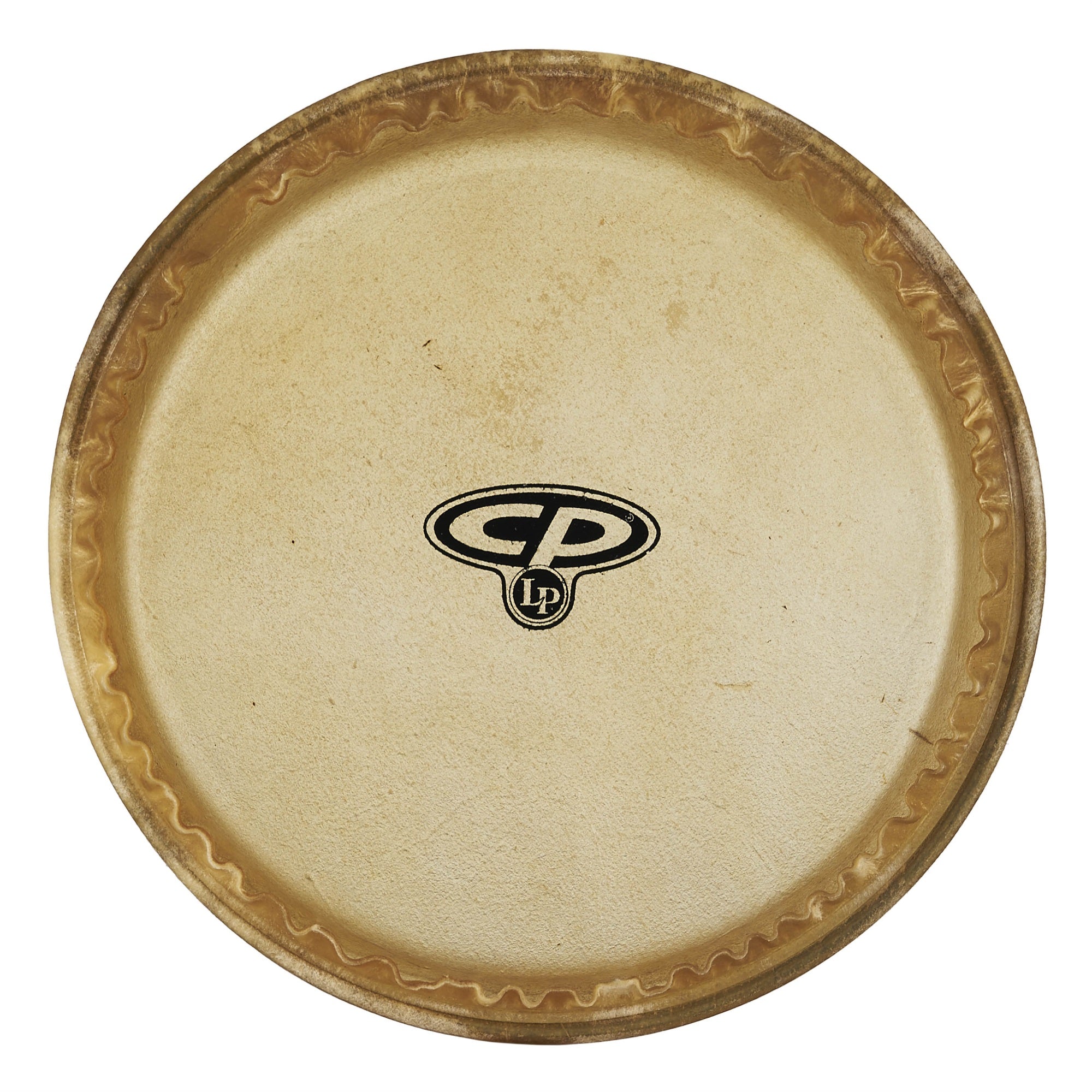 CP 10 MTD Conga Head_x005f_x000D_
