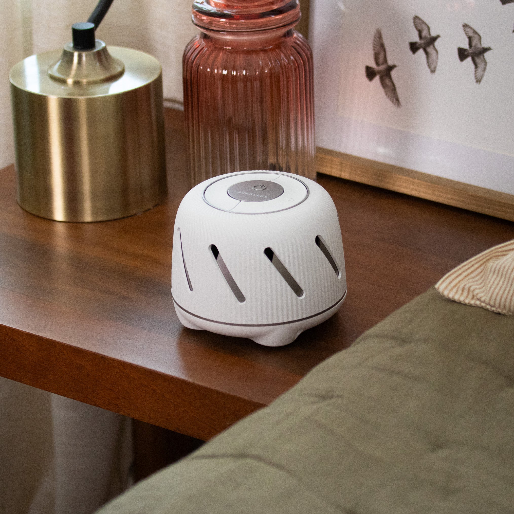 Dohm Connect