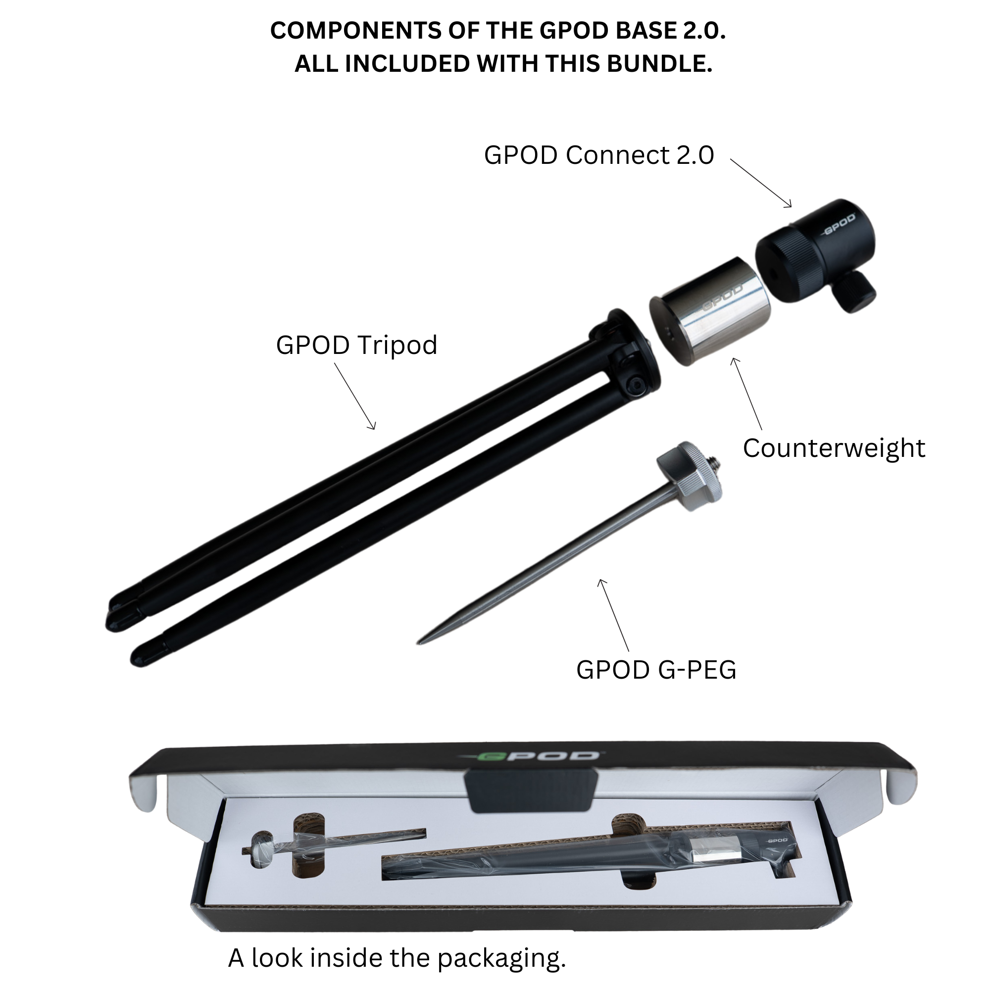 GPOD Pauly P + Base Bundle