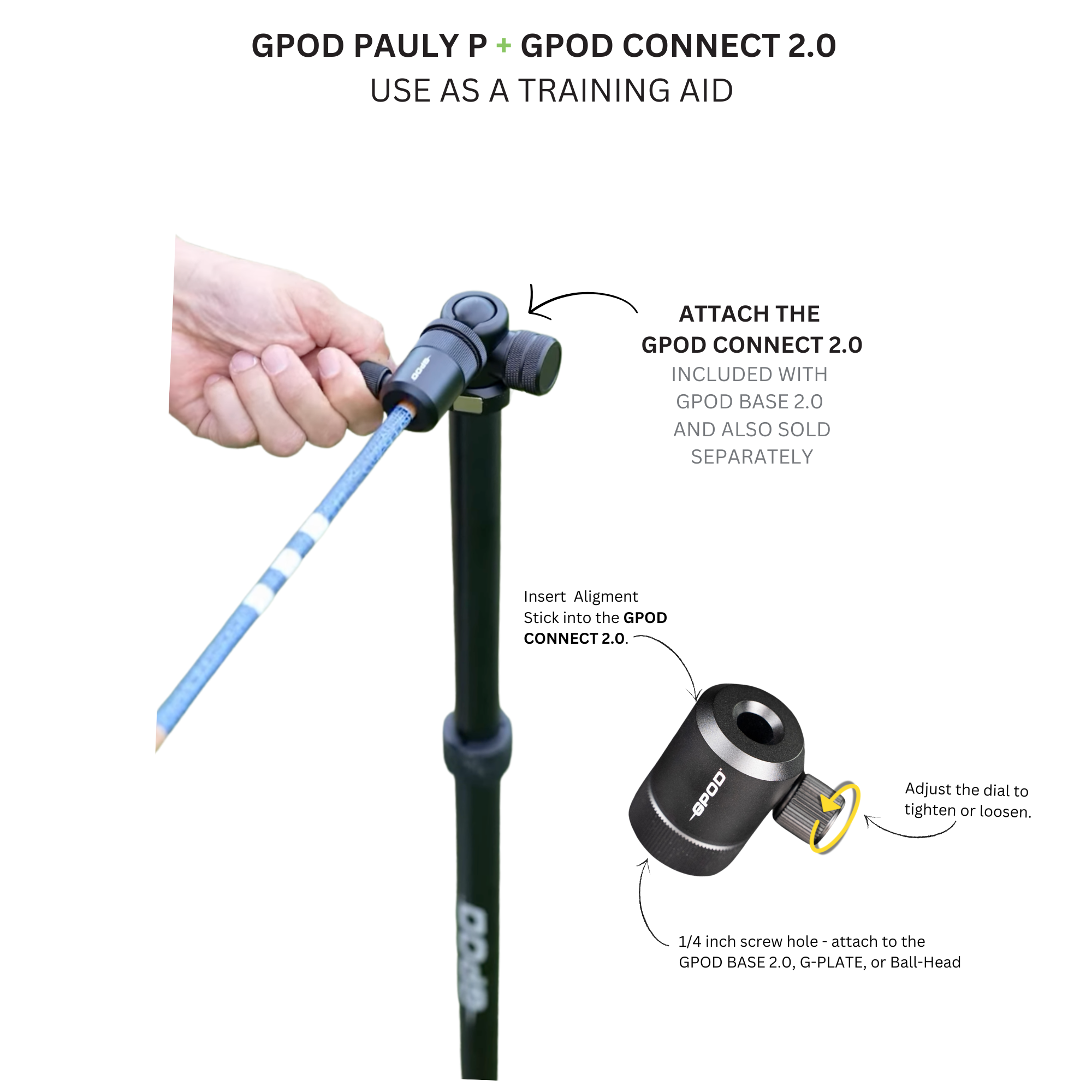 GPOD Pauly P + Base Bundle
