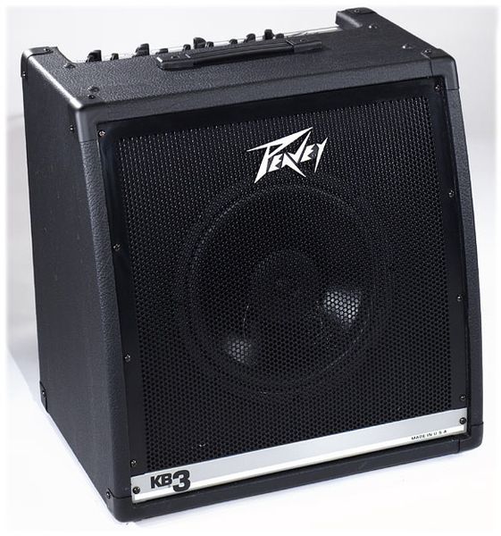 PEAVEY 50W PA SYSTEM