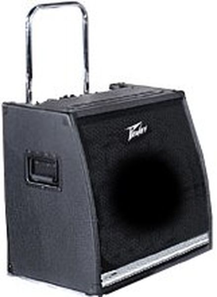 Personal PA system in a keyboard amp w/15 inch speaker & tweeter w/75 watts/100 watts w/external speaker