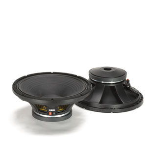 High power 15in woofer.