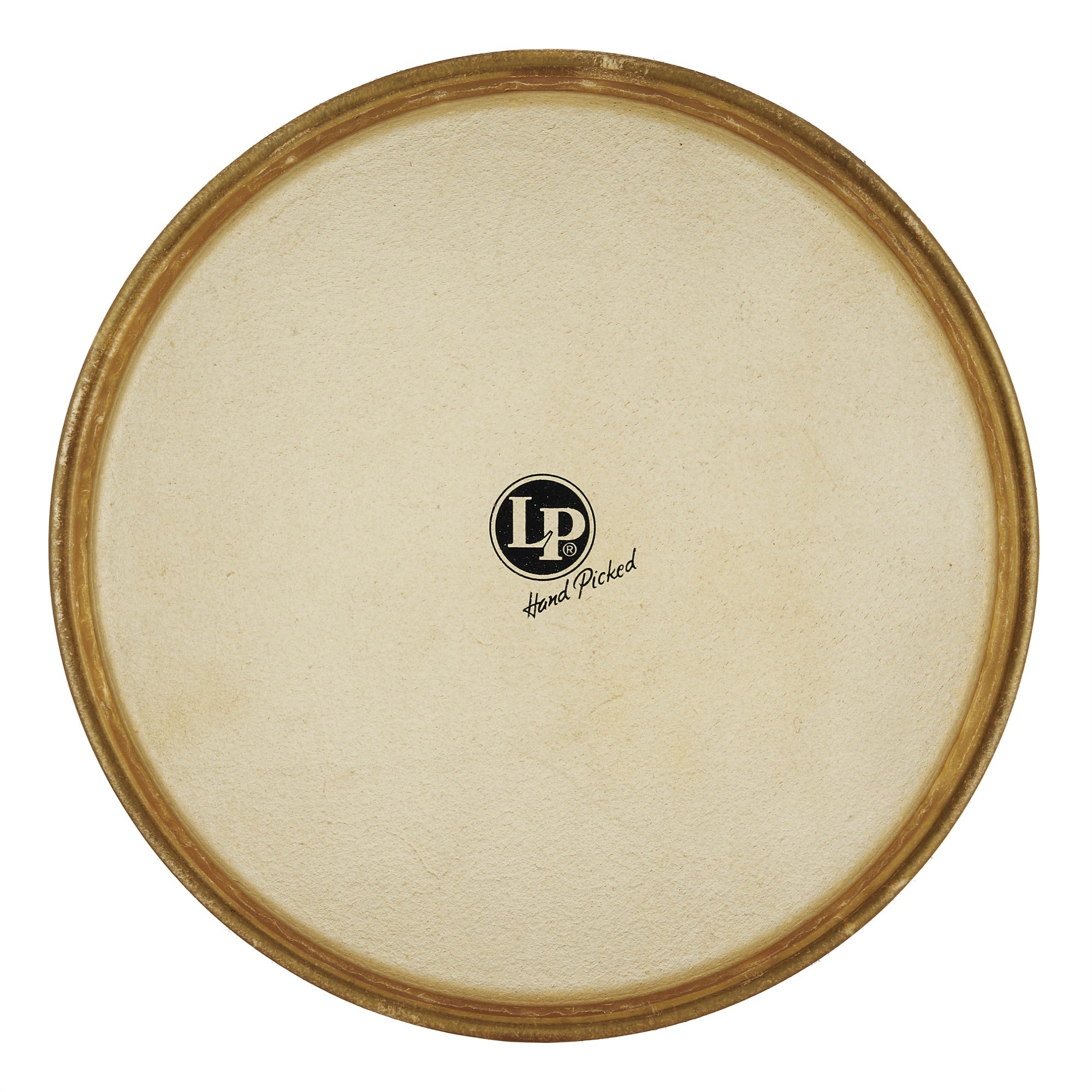 LP490 Iya Large Bata Head, Large_x005f_x000D_