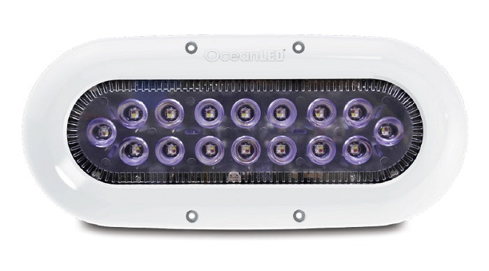 Oceanled X16 X-Series Midnight Blue Led,WBEEAB06XB29JQM