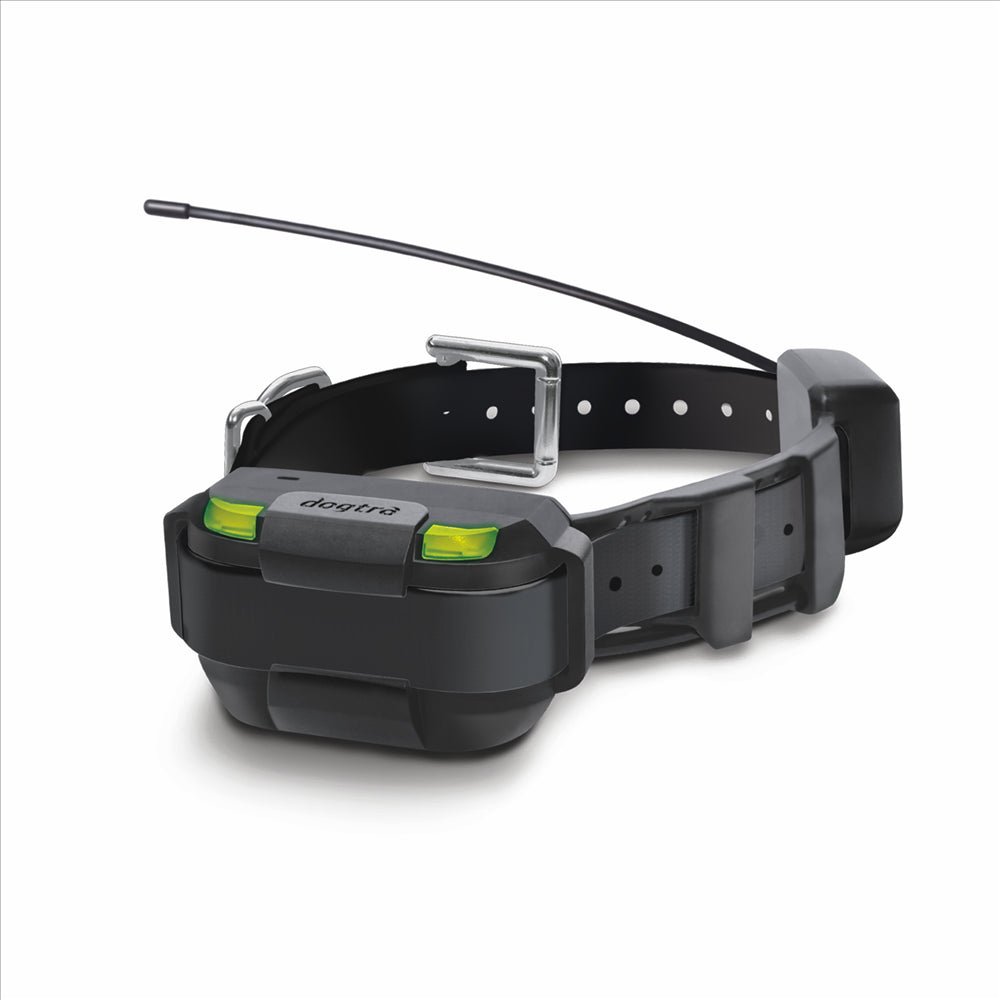 Pathfinder Mini Extra Collar   Black
