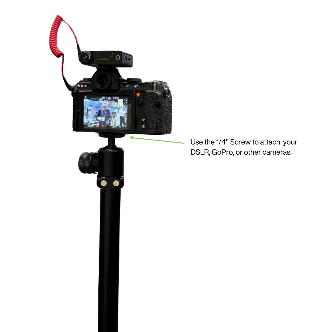 GPOD Pauly P + Base Bundle
