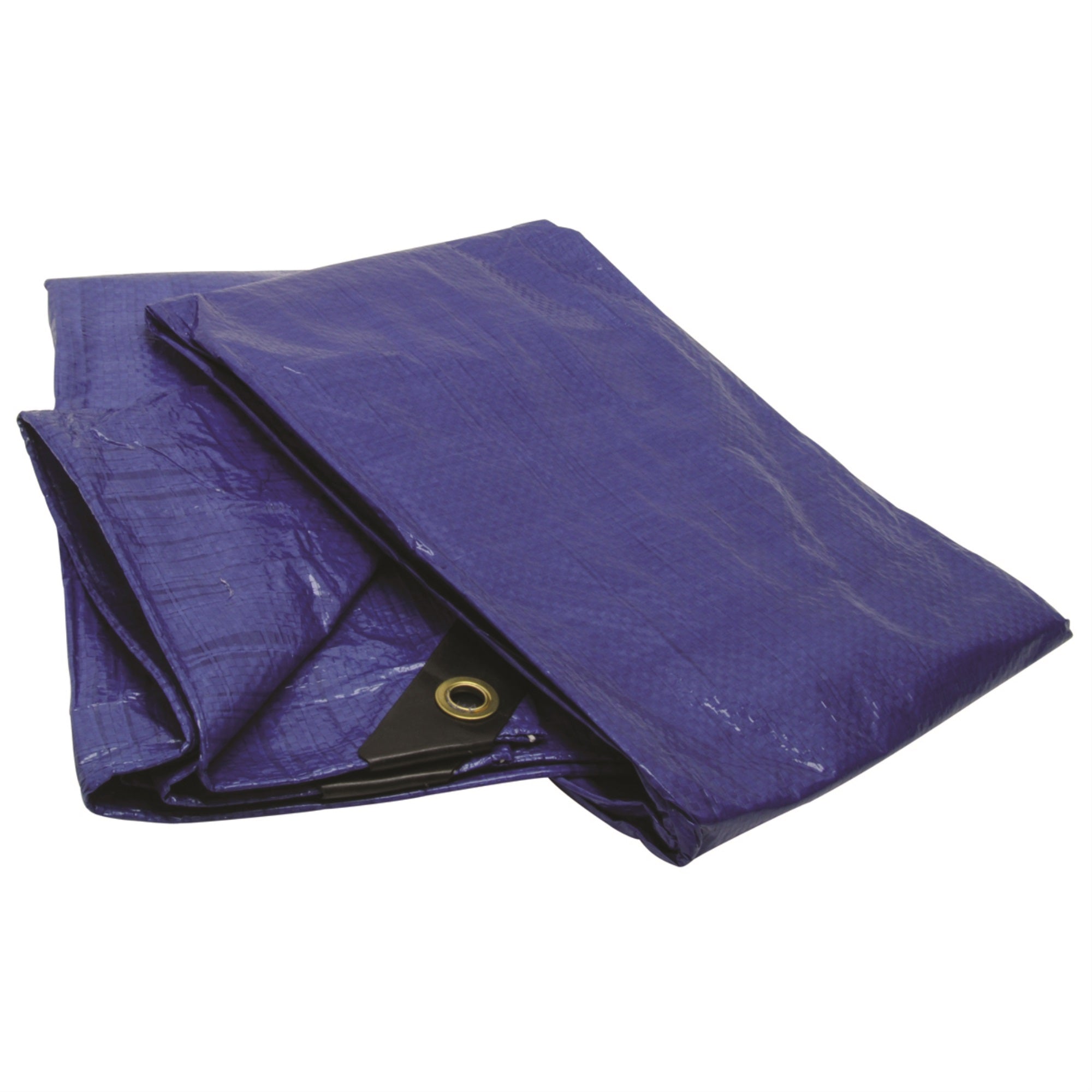 Protective Heavy-Duty Tarp Weather Resistant Strong Outdoor Canvas 4-Mil 6 Feet x 8 Feet Cover Blue RPTP-68