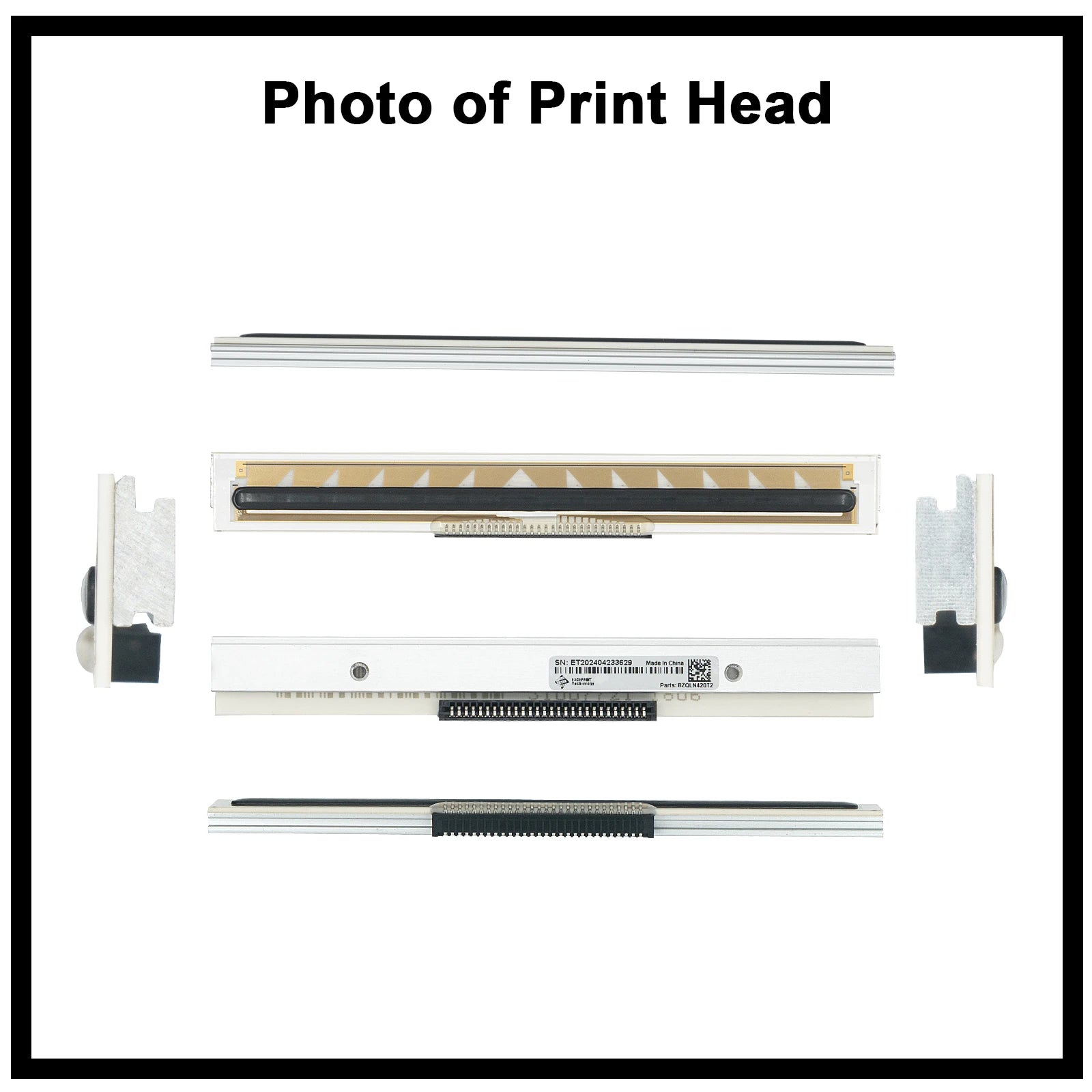 Brand New 203dpi Print Head for Zebra QLN420 QLN421 Thermal Printer,P/N:P1050667-001