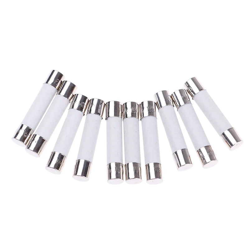 10 Pcs Microwave Ceramic Fuse Electric 20A 250V Home Supplies DIY 6x30mm