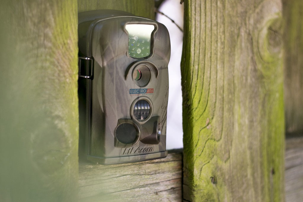 Hunting Surveillance Game Camera 16Bit Display for Setup & Preview(D0102H7GNZG.)