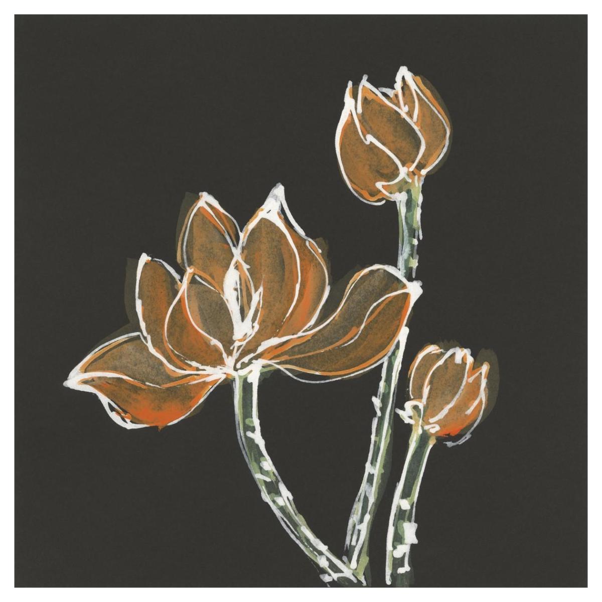 Lotus on Black IV Paper Art42 inchx42 inch