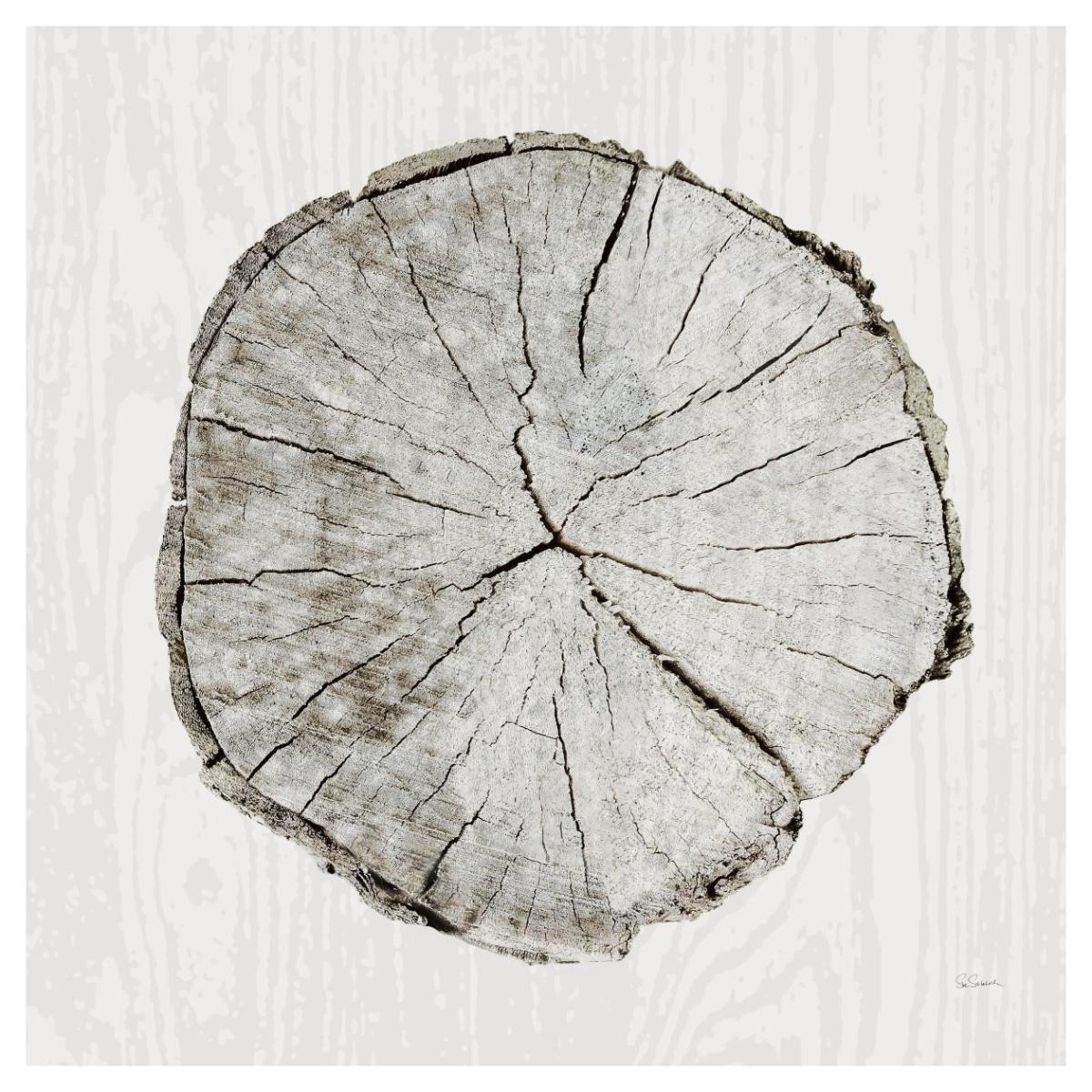 Woodland Years I Paper Art42 inchx42 inch