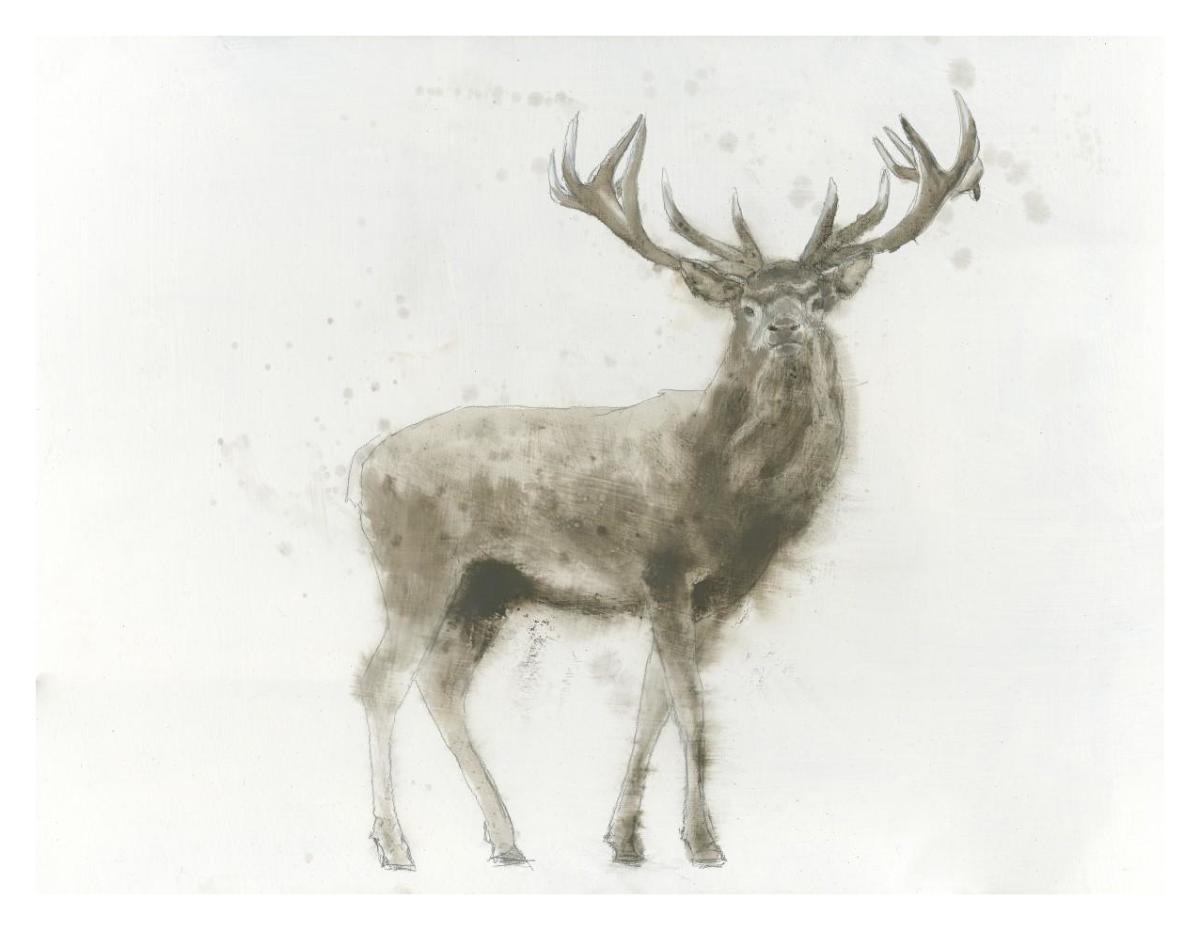 Stag Paper Art34 inchx26 inch